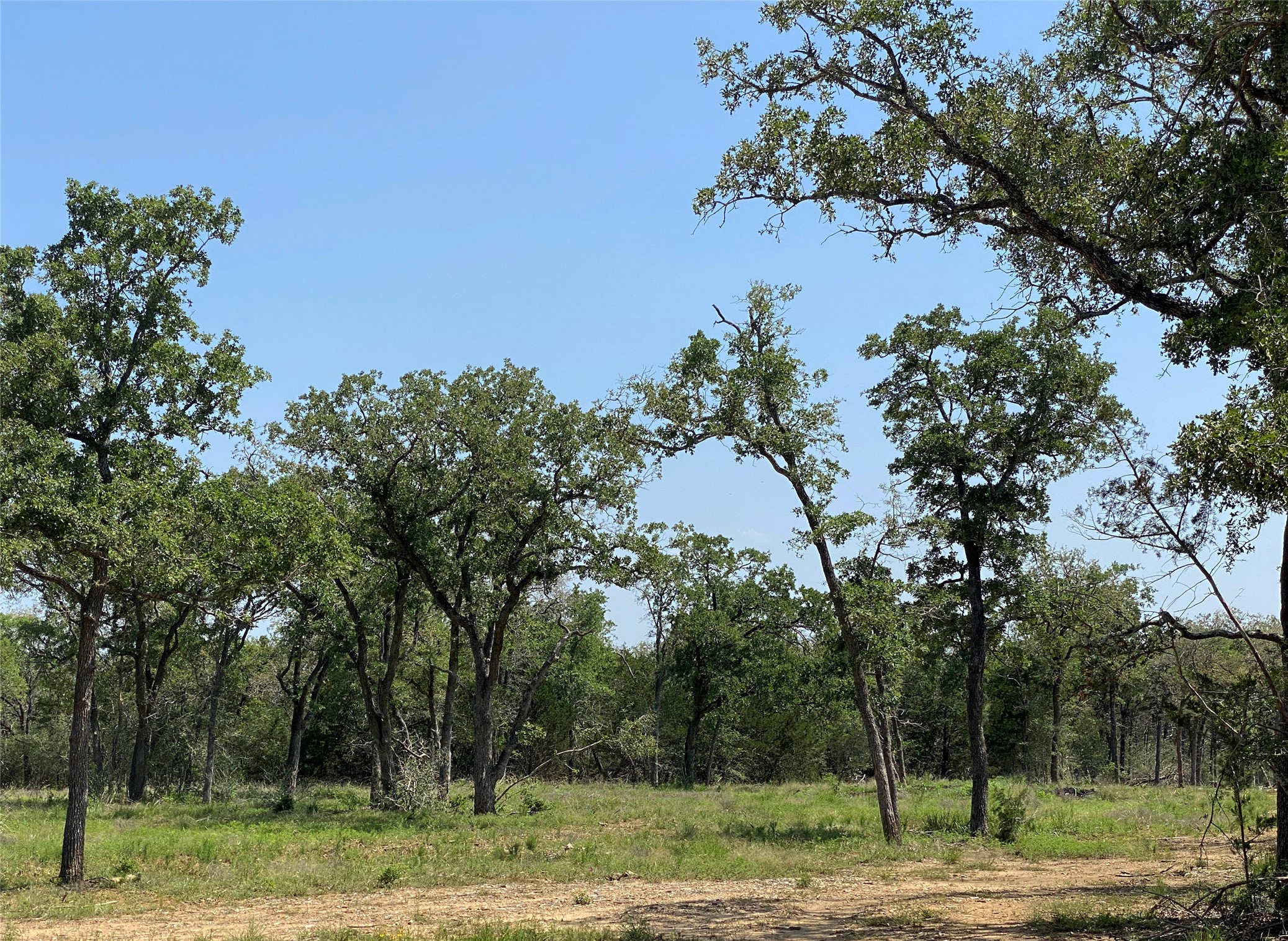 Tbd High Crossing Road - Tract 7-8 Property Photo 3