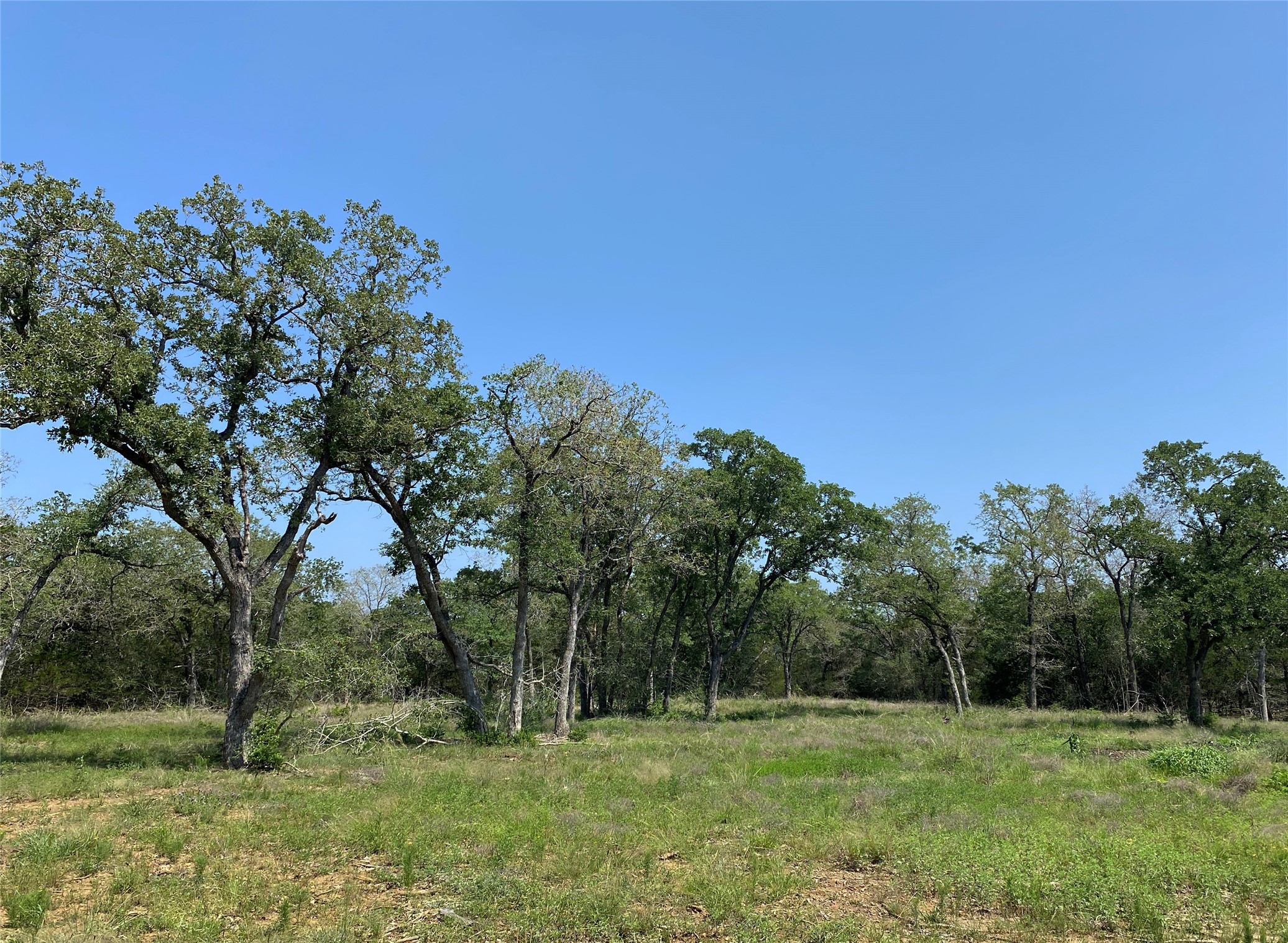 Tbd High Crossing Road - Tract 7-8 Property Photo 4