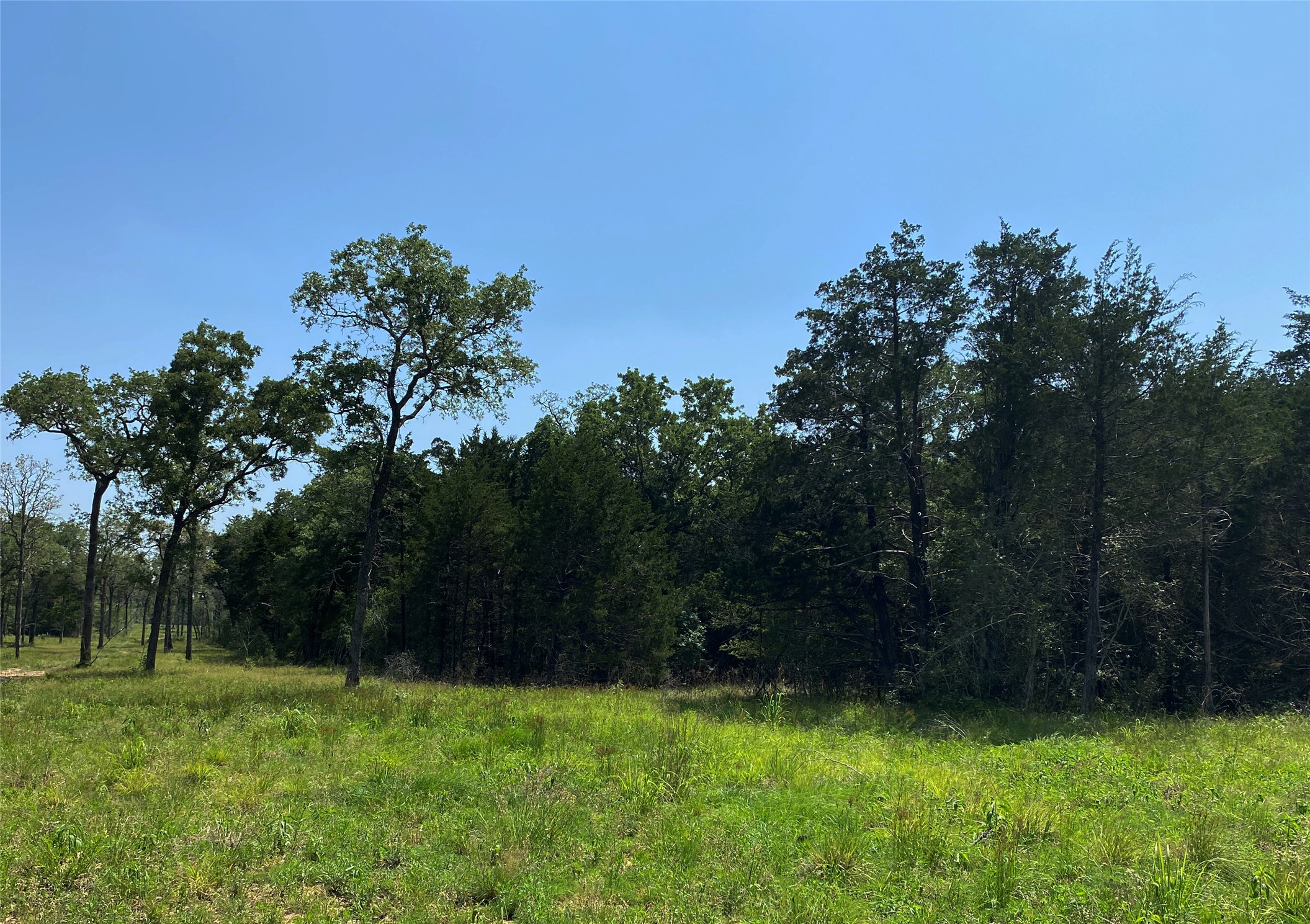Tbd High Crossing Road - Tract 7-8 Property Photo 5