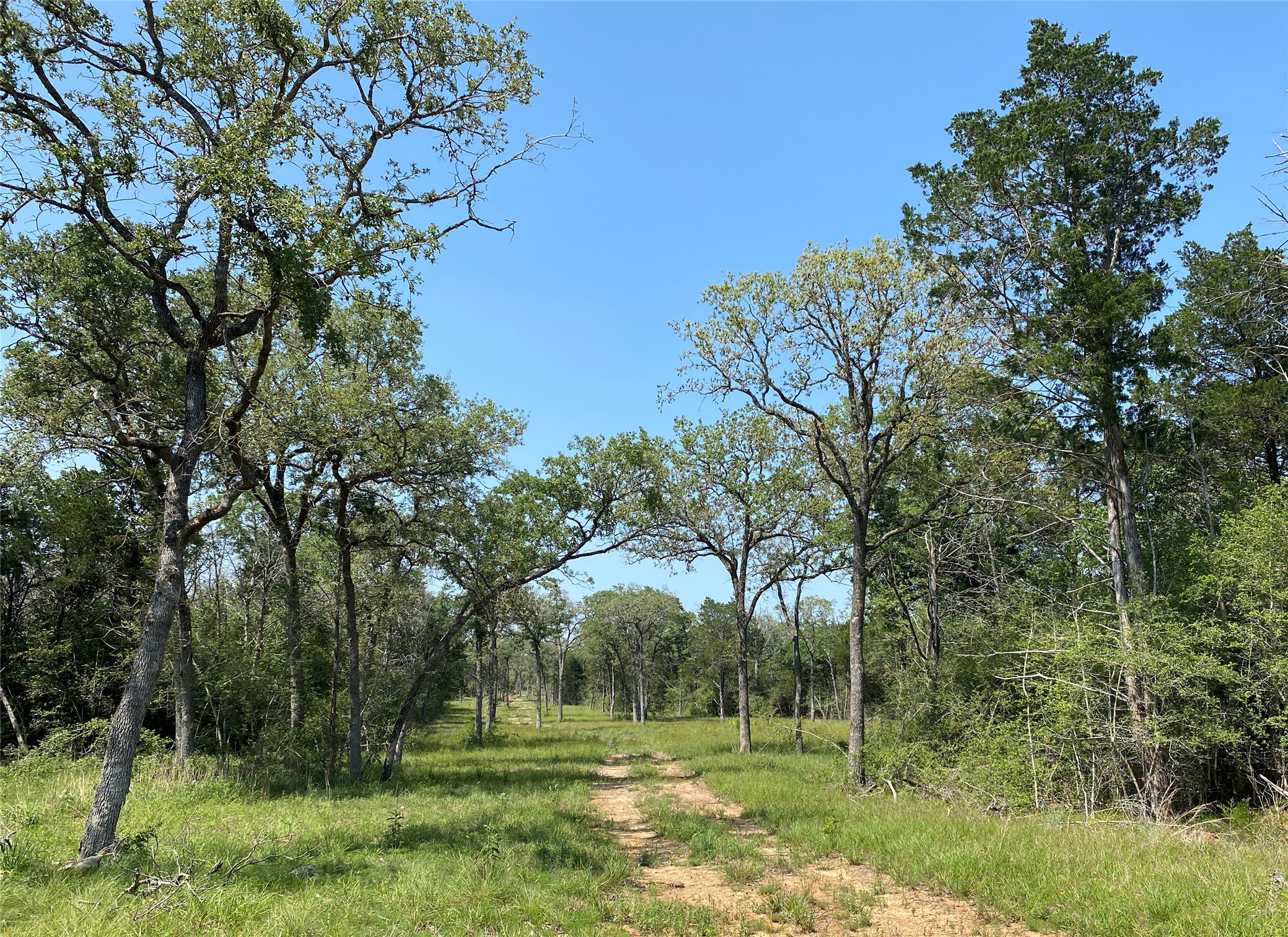 Tbd High Crossing Road - Tract 7-8 Property Photo 6