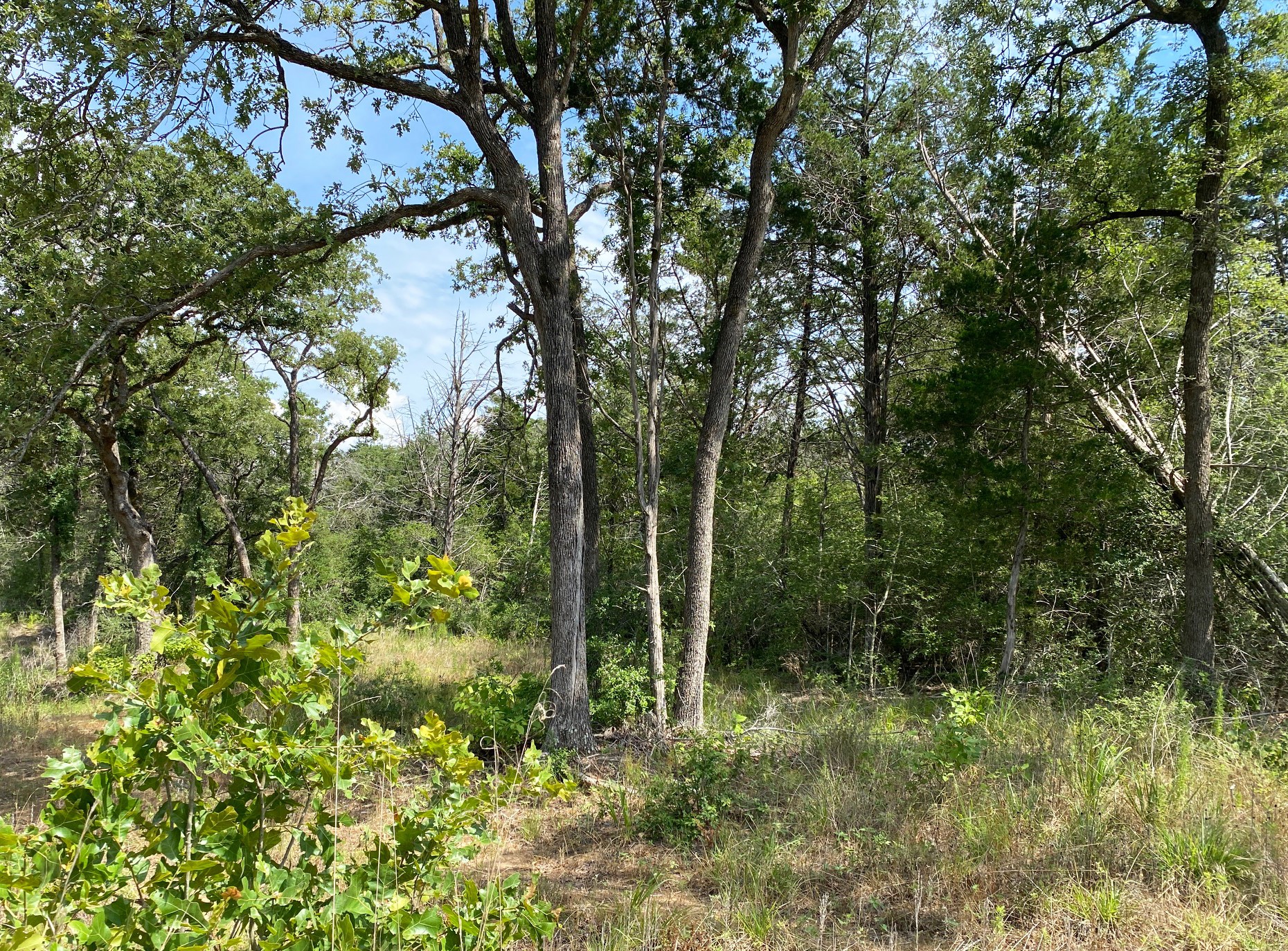 Tbd High Crossing Road - Tract 7-8 Property Photo 7