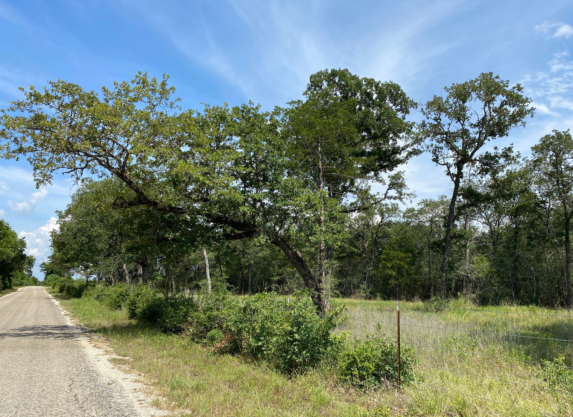 Tbd High Crossing Road - Tract 7-8 Property Photo 8