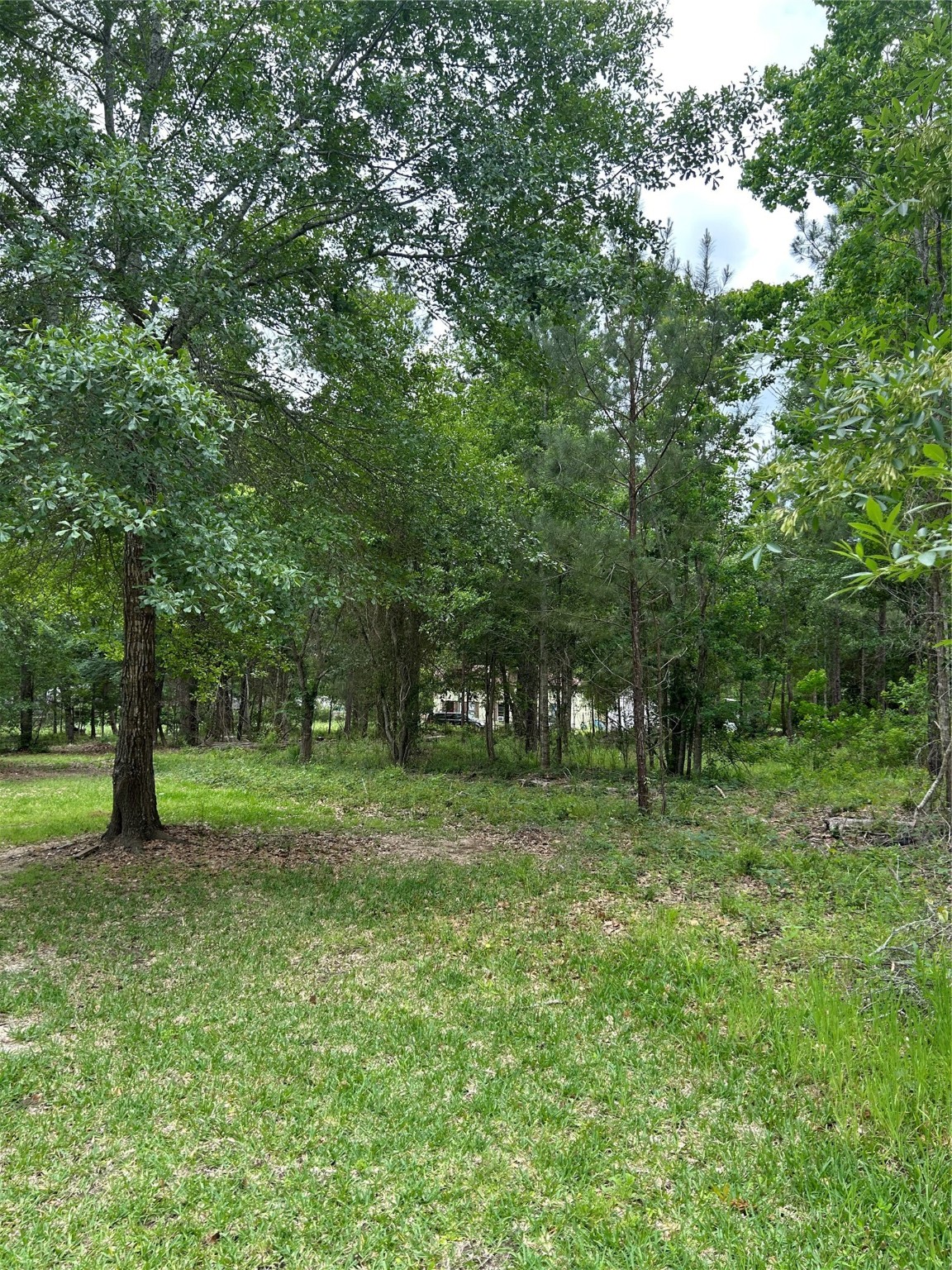 1128 Timberglen Drive Property Photo 2