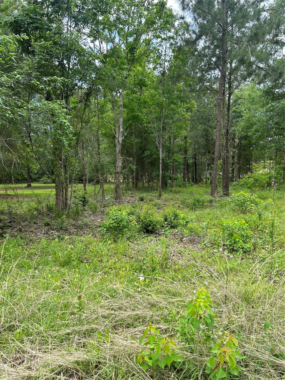 1128 Timberglen Drive Property Photo 4
