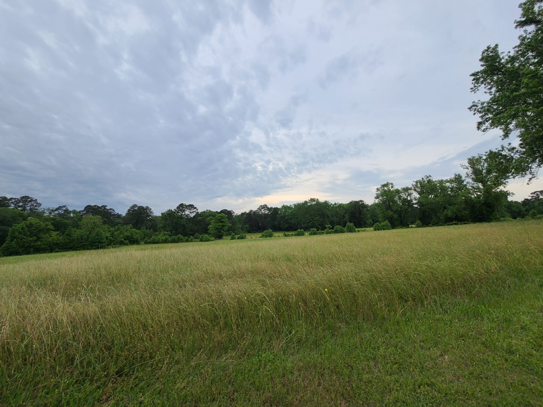 0 County Road 332 Property Photo