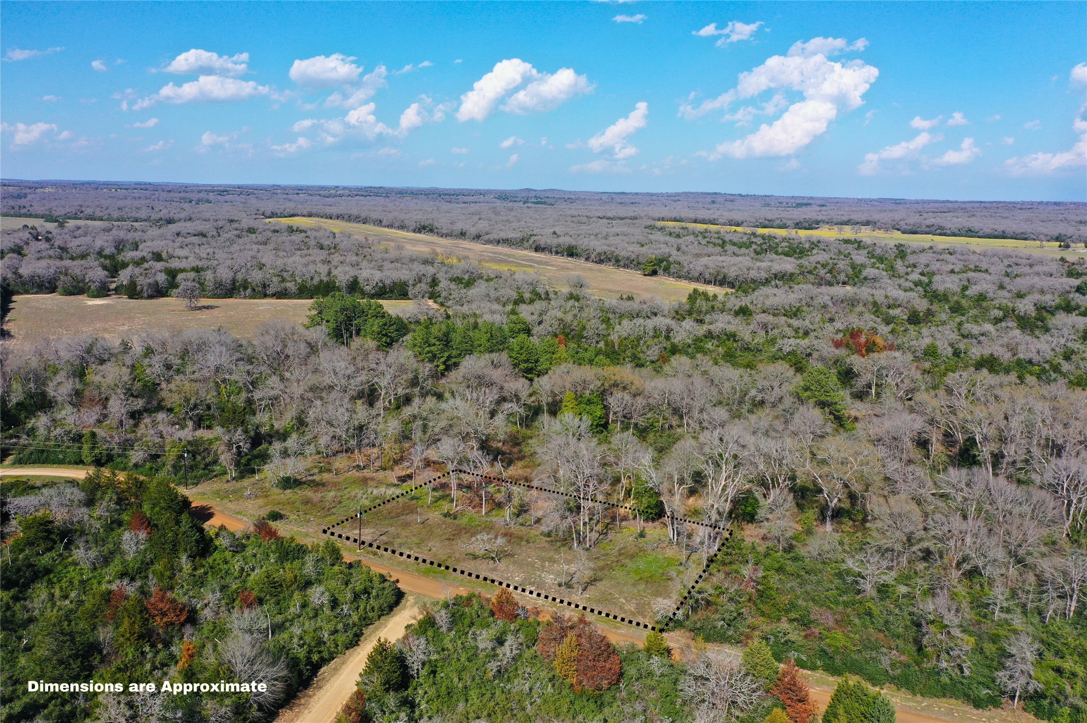 0 Sycamore Branch Road Property Photo