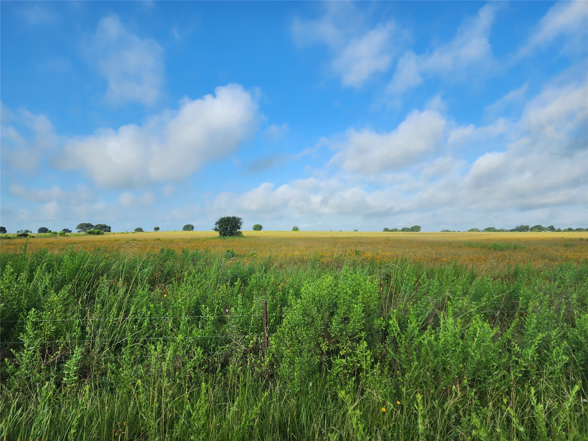 Lot 1 Meier Road Property Photo