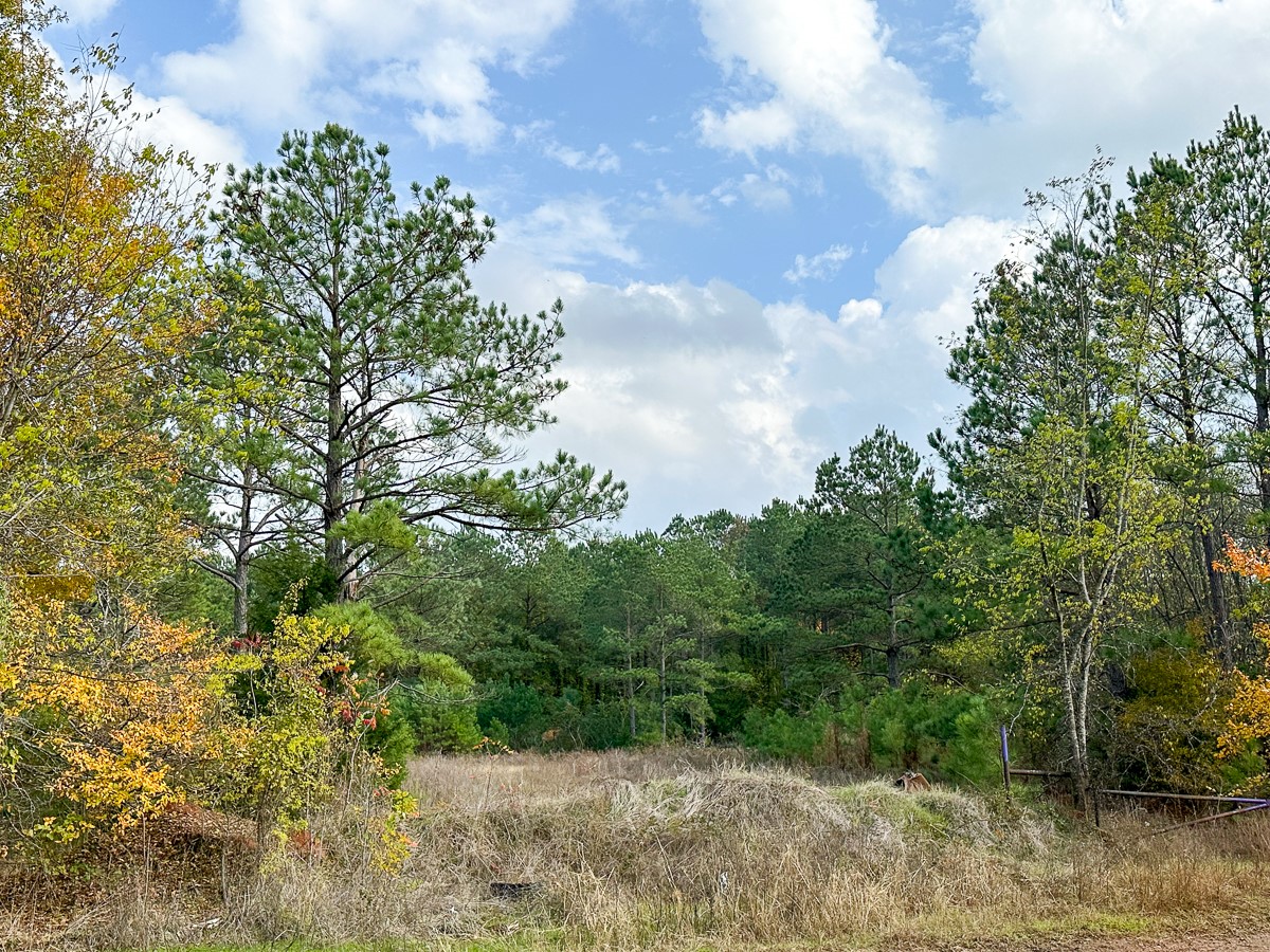 00 Cr 2115 Property Photo 3