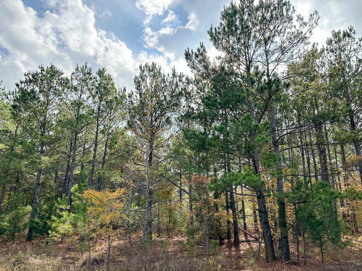 00 Cr 2115 Property Photo 4