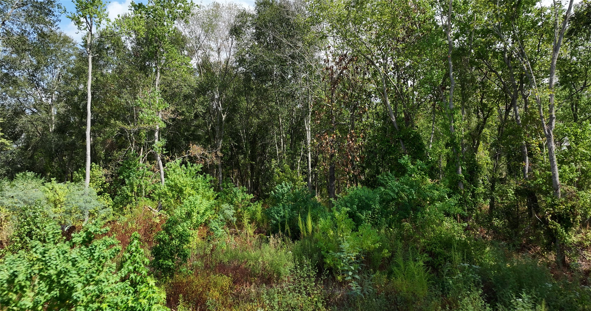 10505 Ehlers Road Property Photo 6