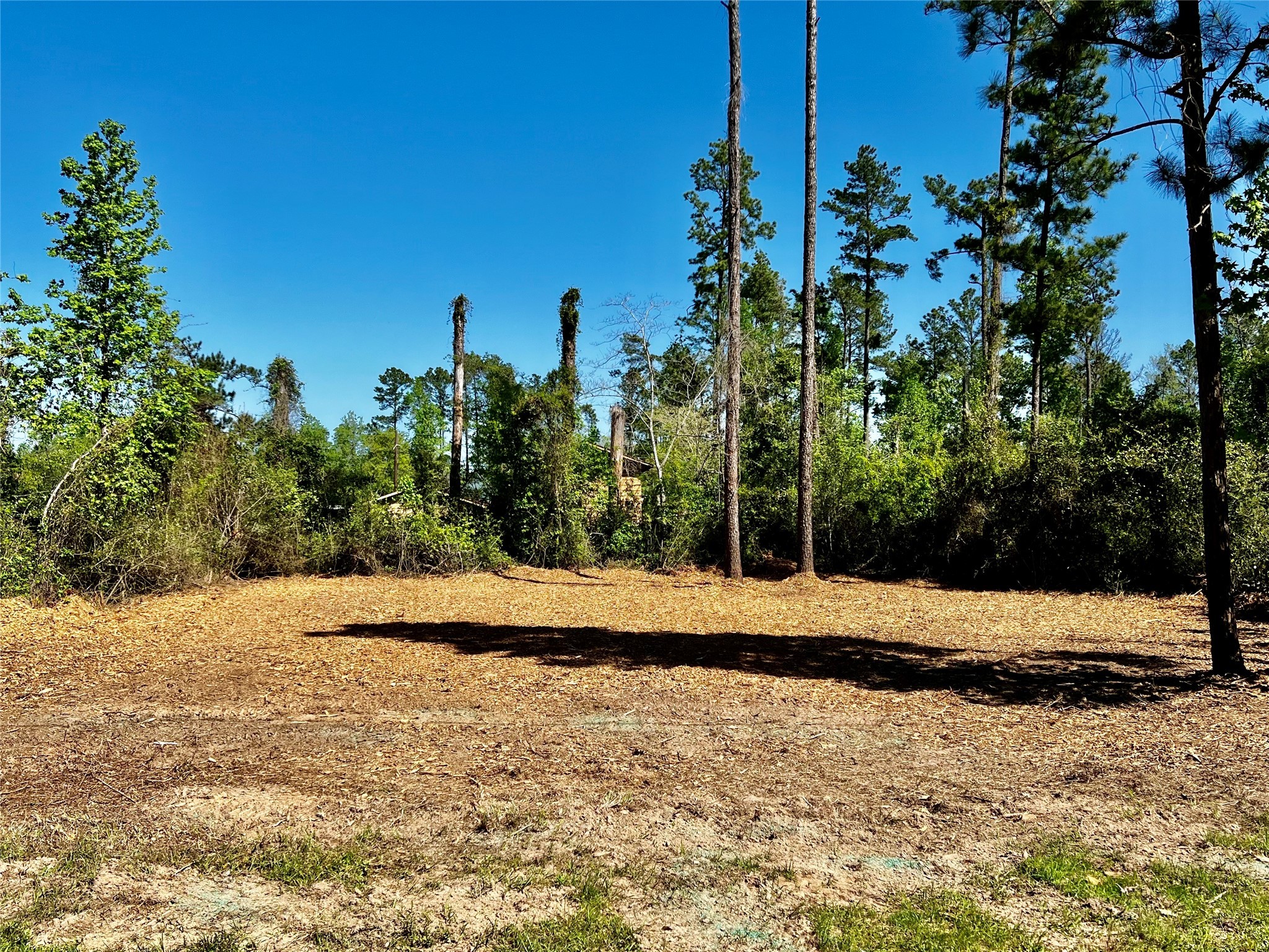 171 Brahman Property Photo 1