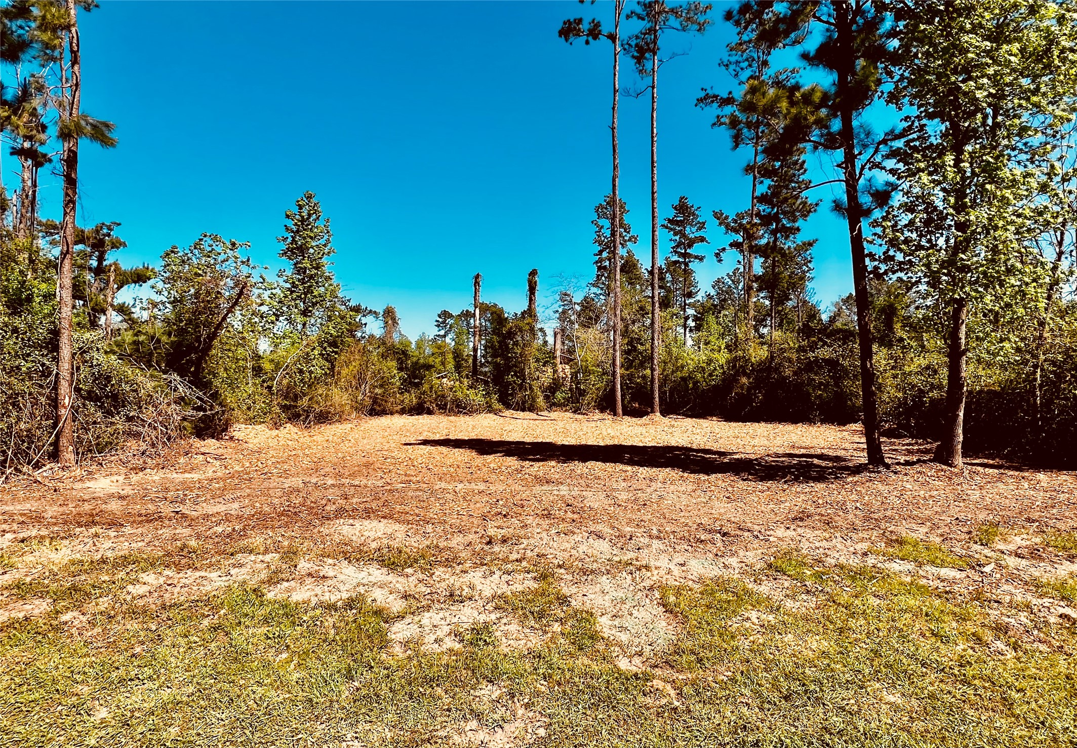 171 Brahman Property Photo 2