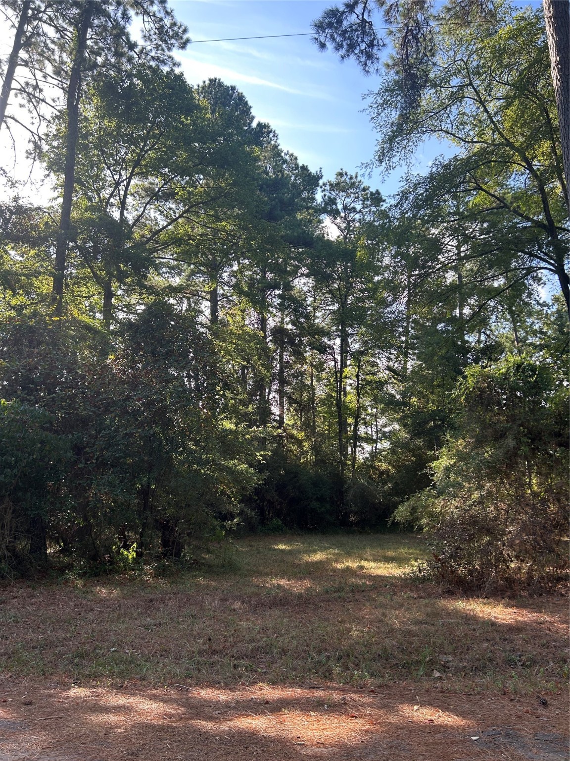 303132 Oak Pine Drive Property Photo 2