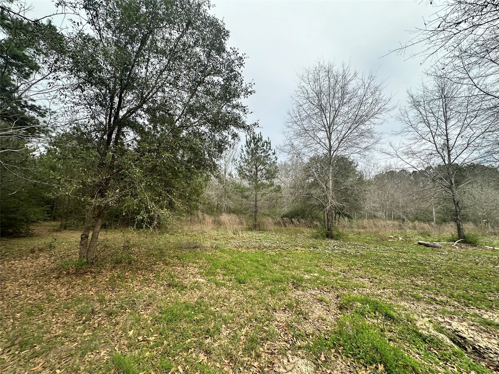 Tbd County Road 4755 Property Photo