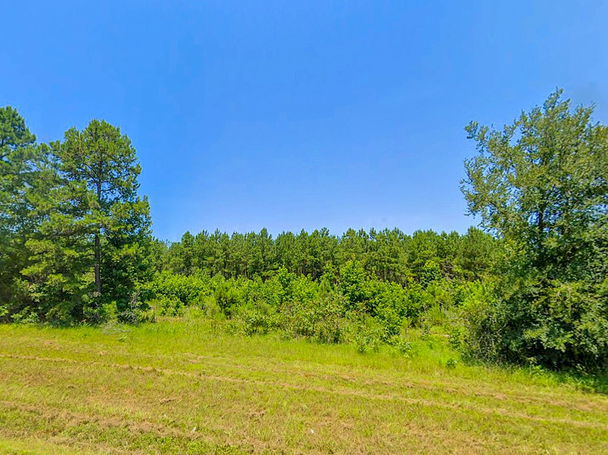 0 Hwy 155 Property Photo 4