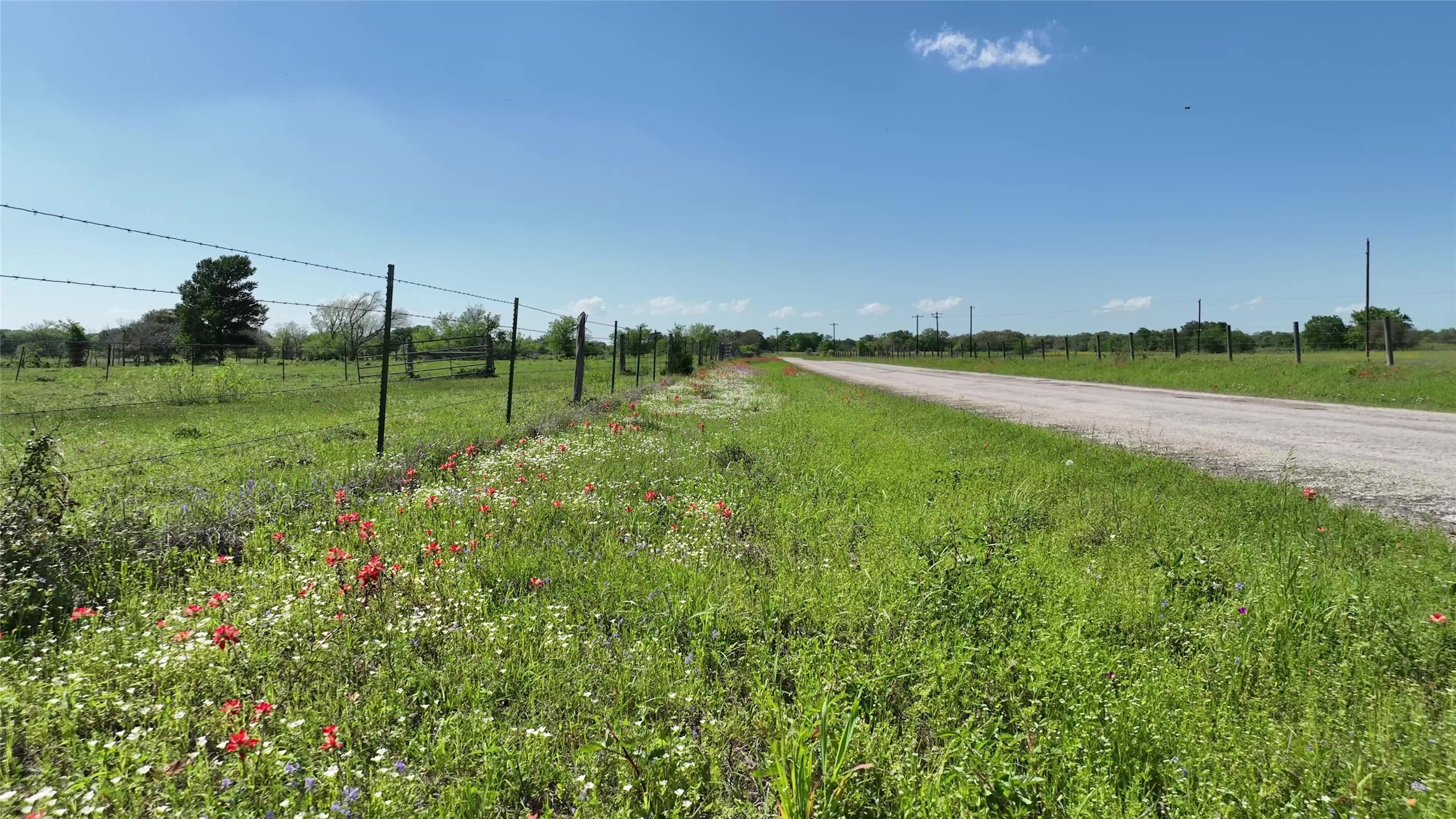 00 County Road 119 Property Photo 10