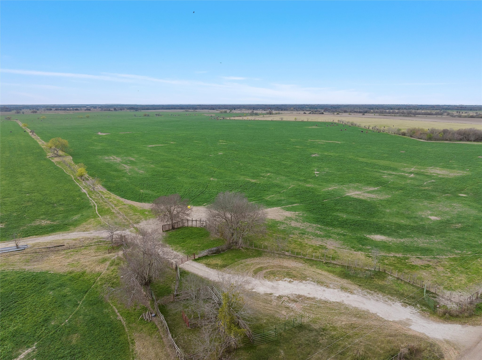 Tbd County Rd 129 Property Photo 2