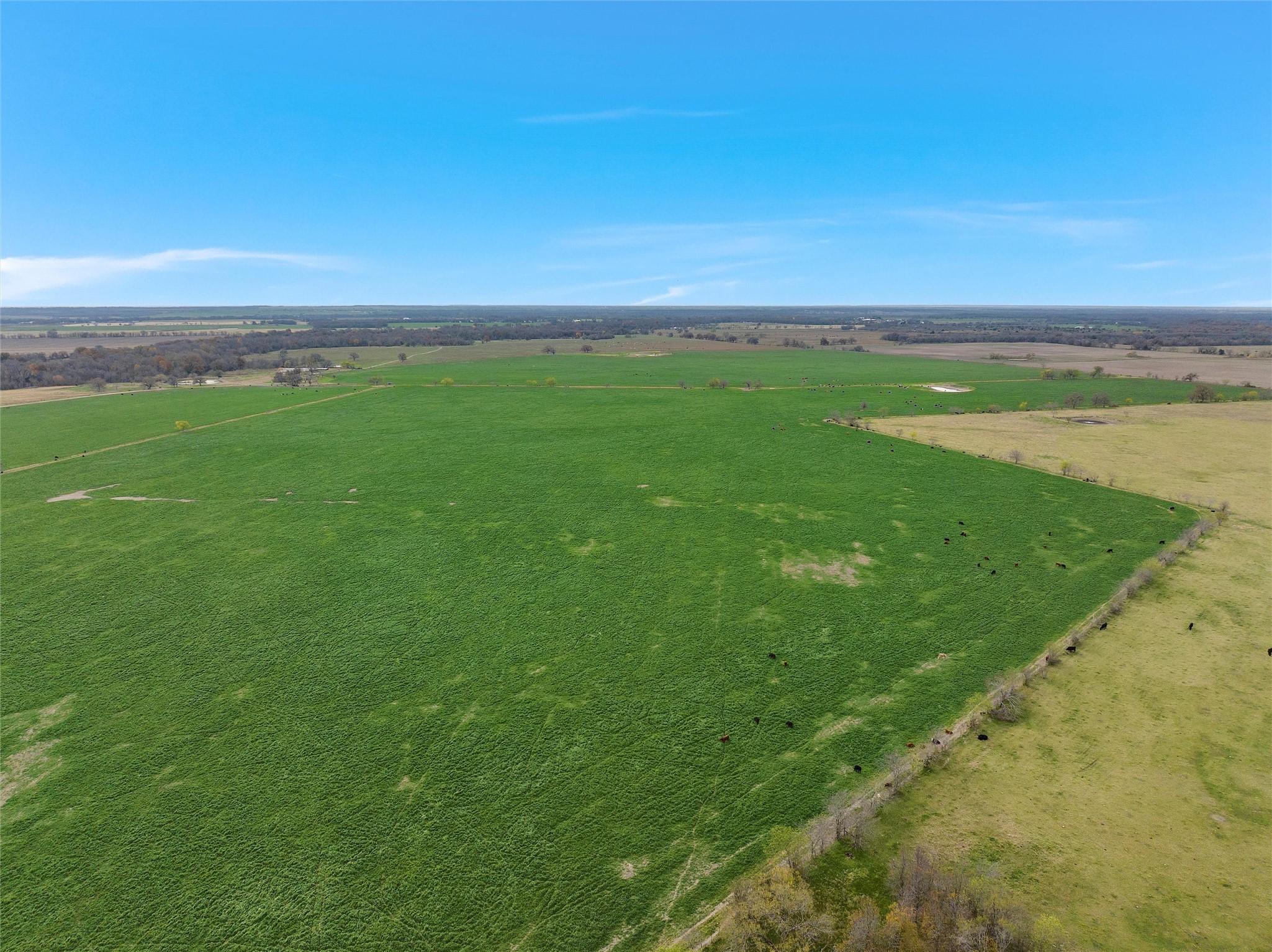Tbd County Rd 129 Property Photo 3