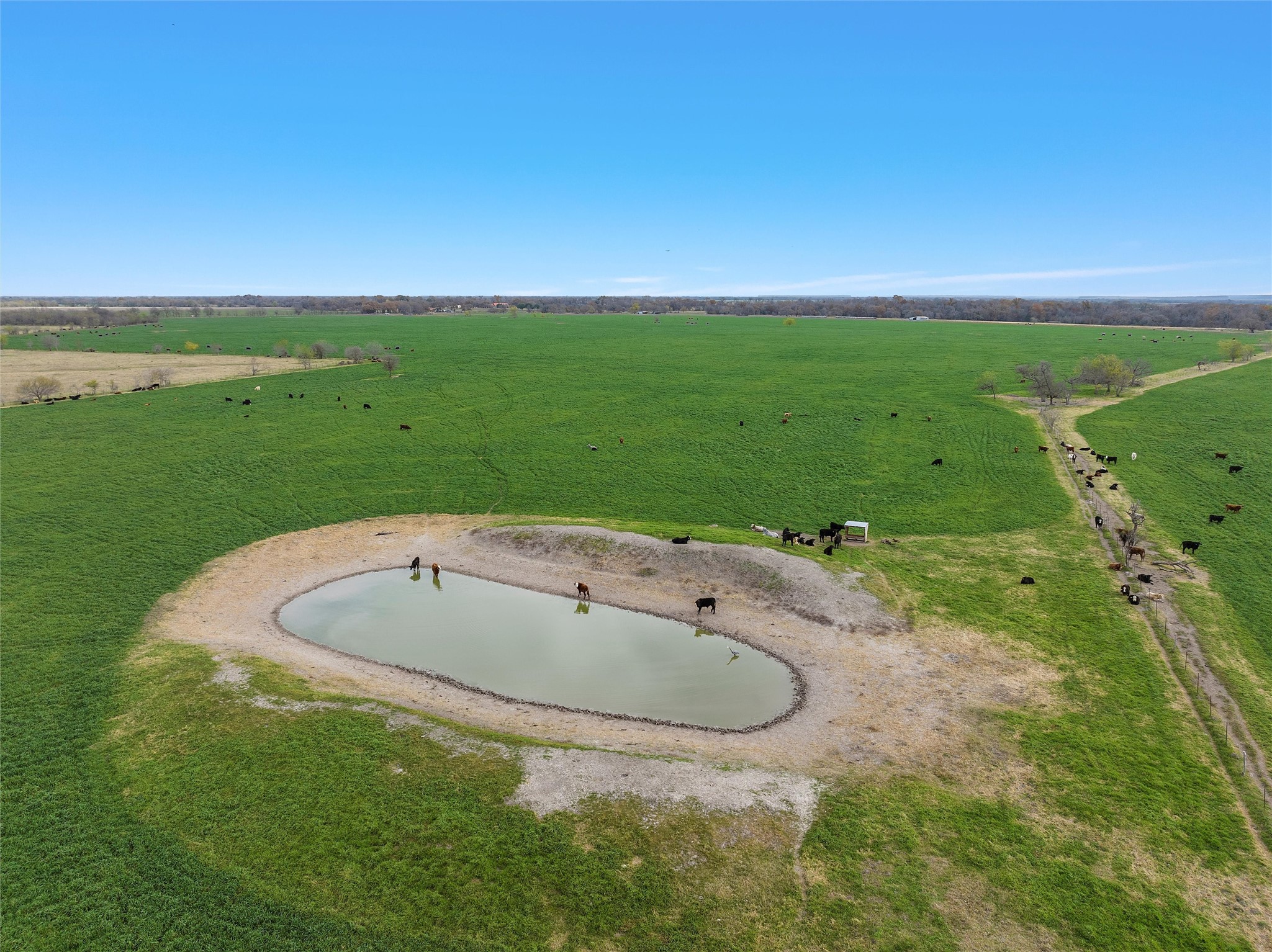 Tbd County Rd 129 Property Photo 5