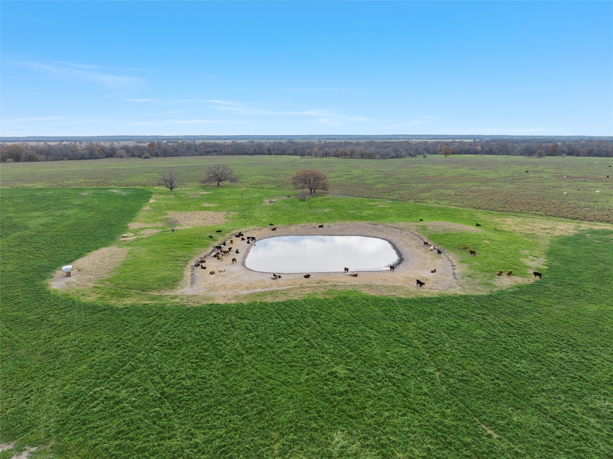 Tbd County Rd 129 Property Photo 6