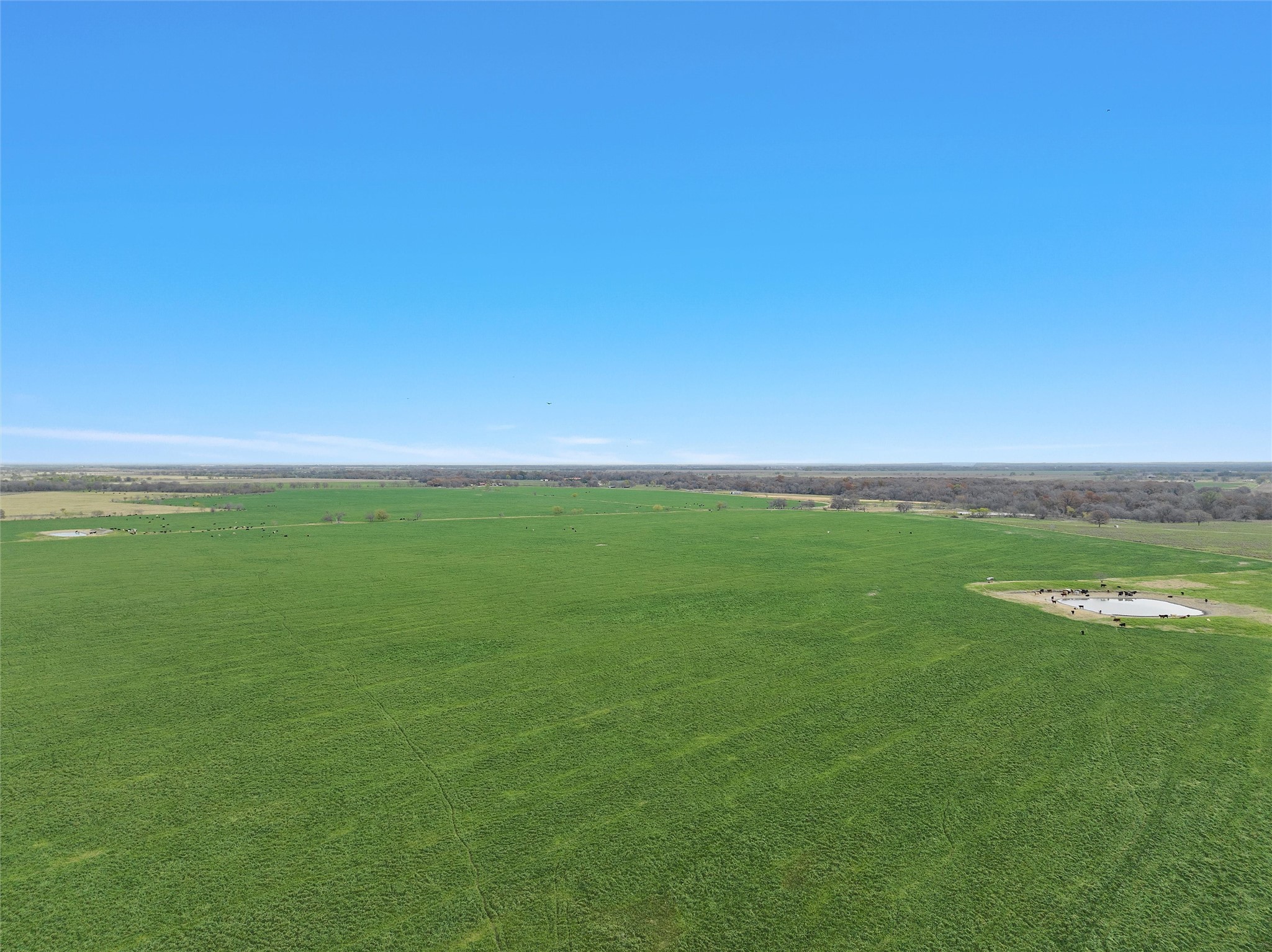 Tbd County Rd 129 Property Photo 8
