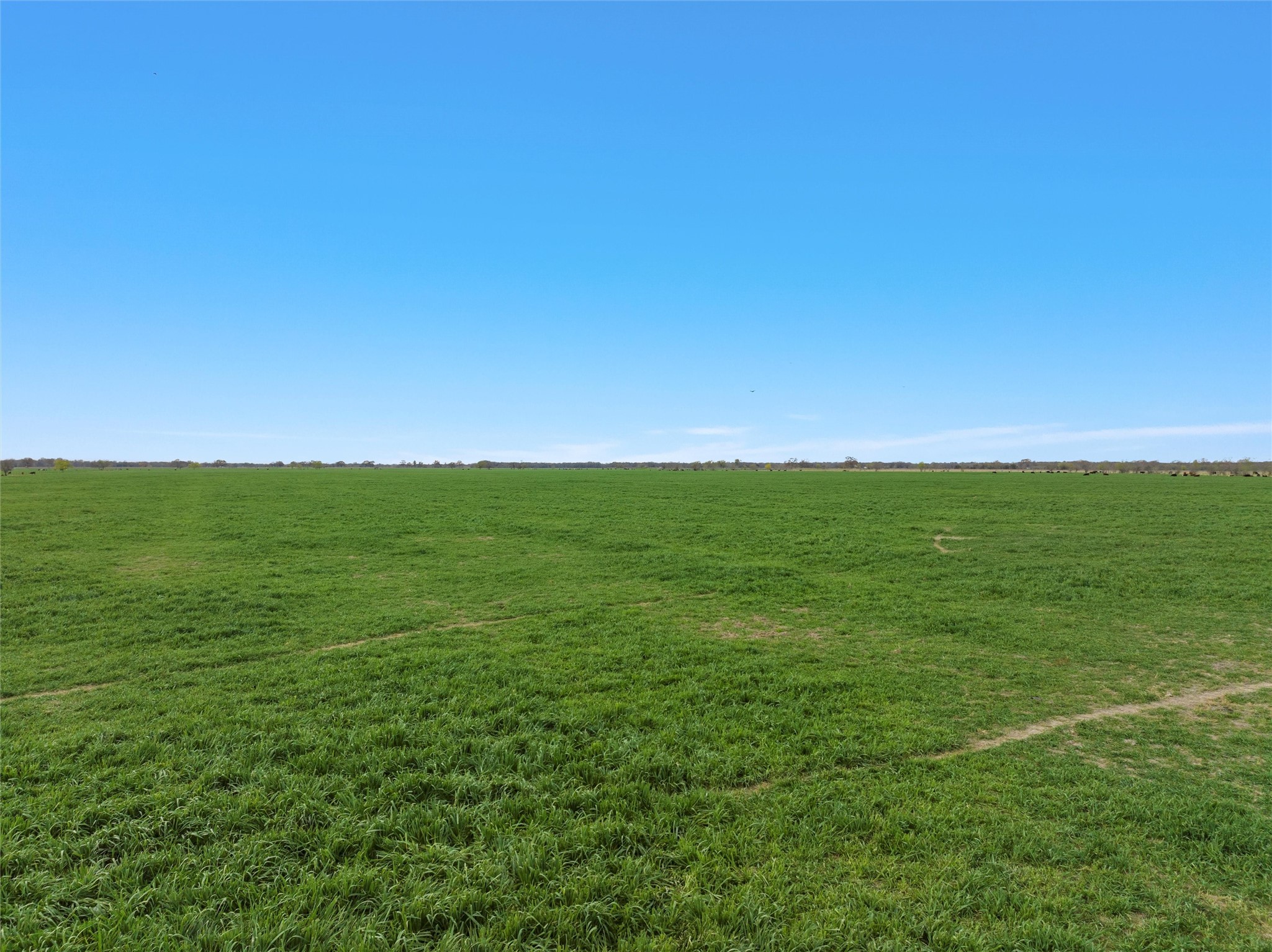 Tbd County Rd 129 Property Photo 9
