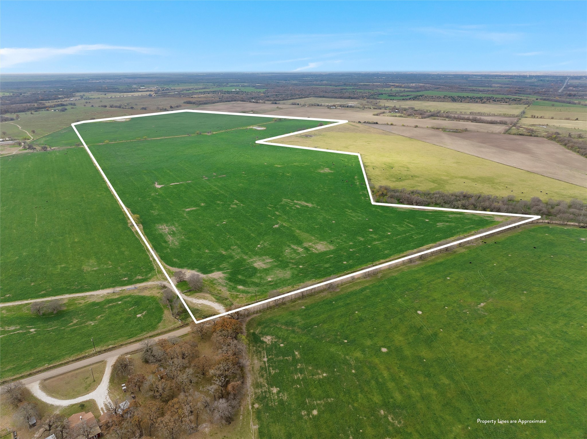 Tbd County Rd 129 Property Photo 10