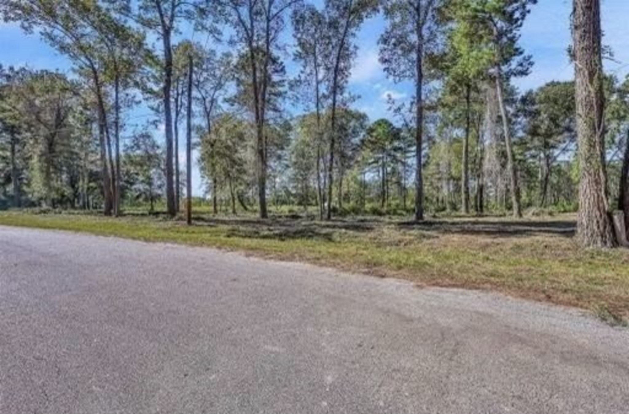 10171 Ehlers Road Property Photo 3