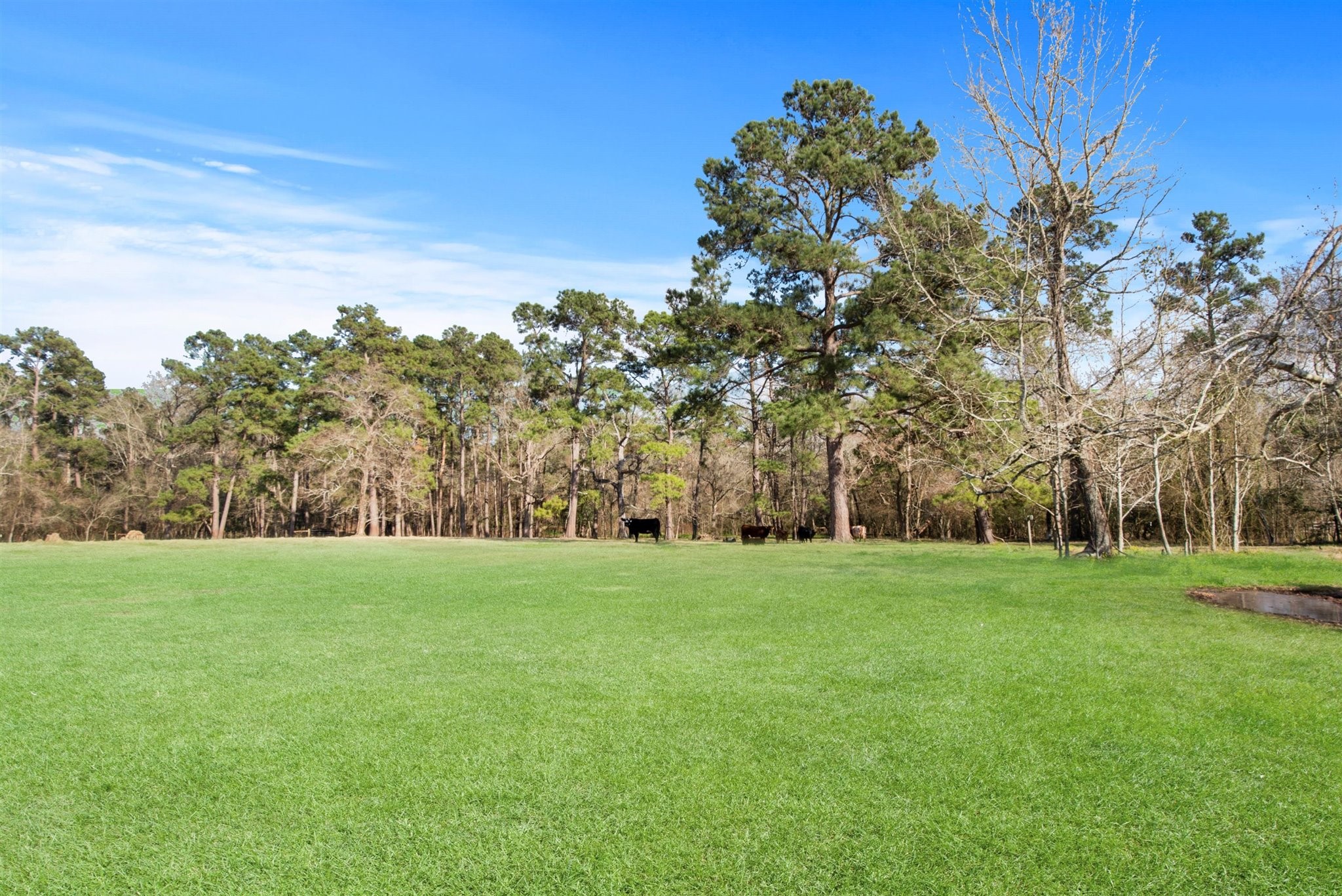 13259 Kidd Road Property Photo 9