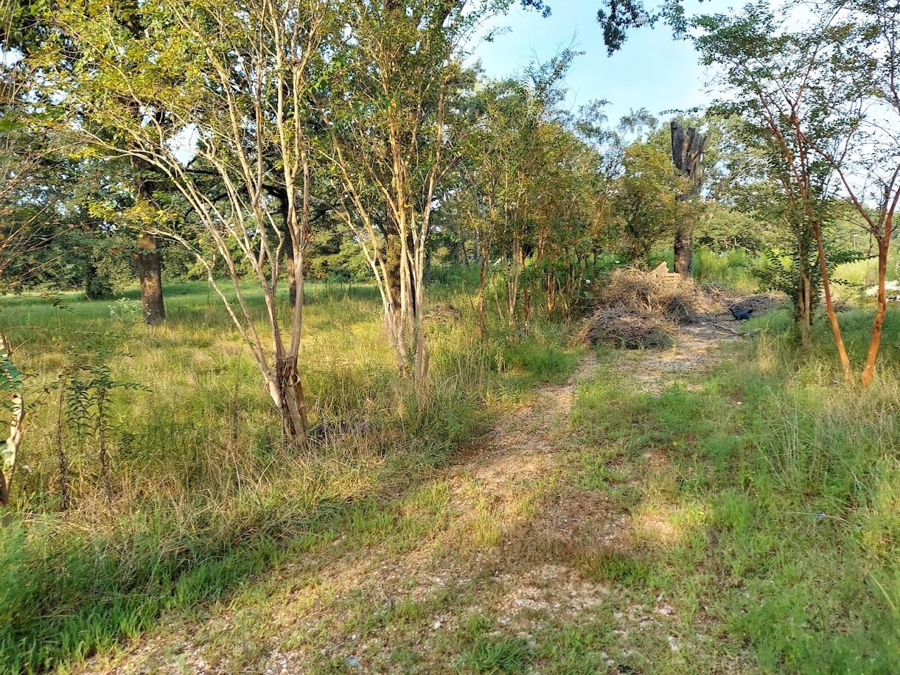 2018 County Road 4009 Property Photo 2