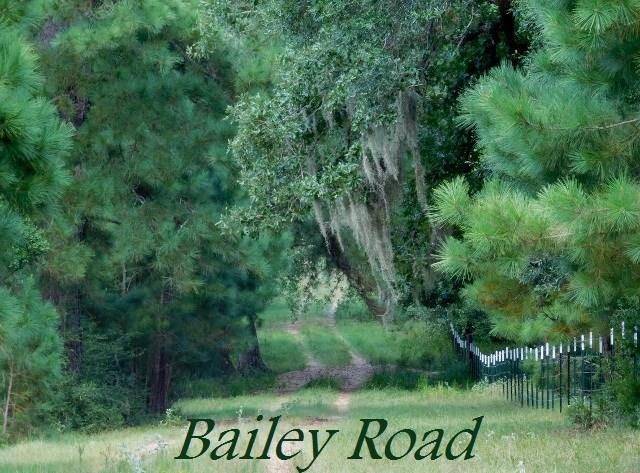 0 Bailey Road Road Property Photo