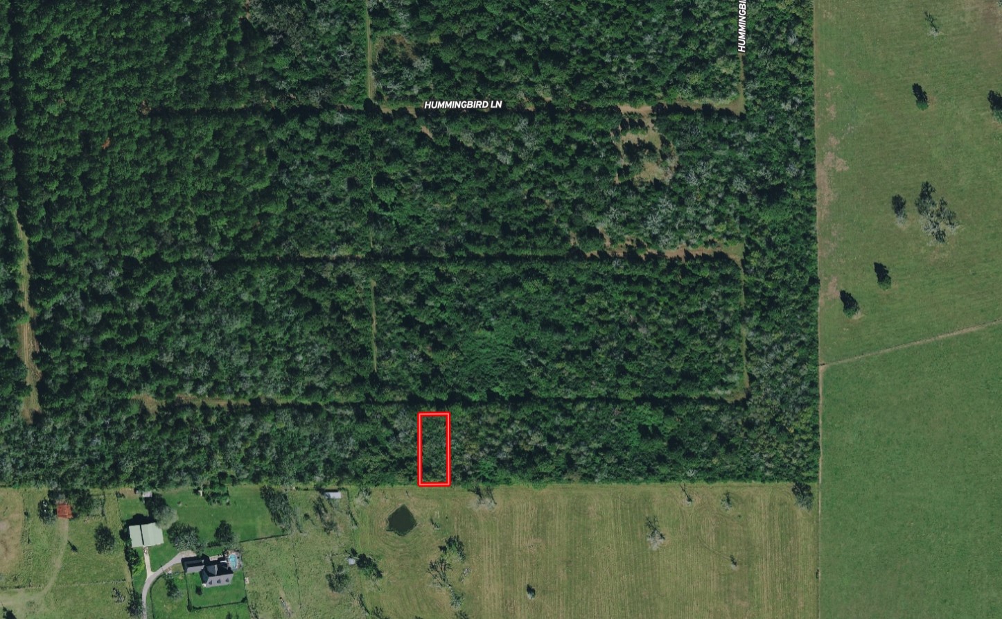 Lot 16 Mocking Bird Property Photo 3