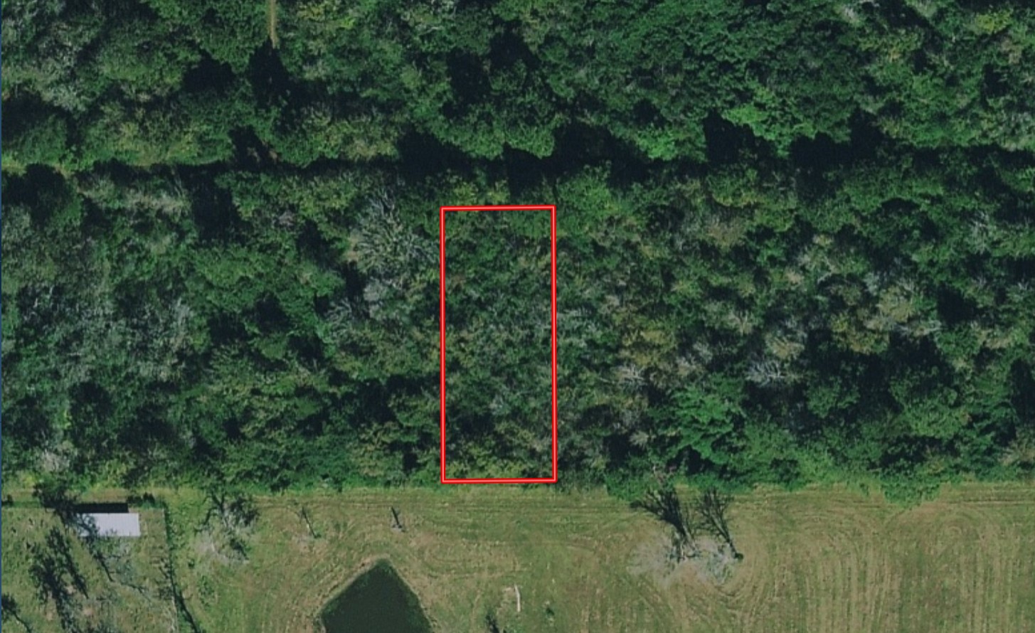 Lot 16 Mocking Bird Property Photo 4