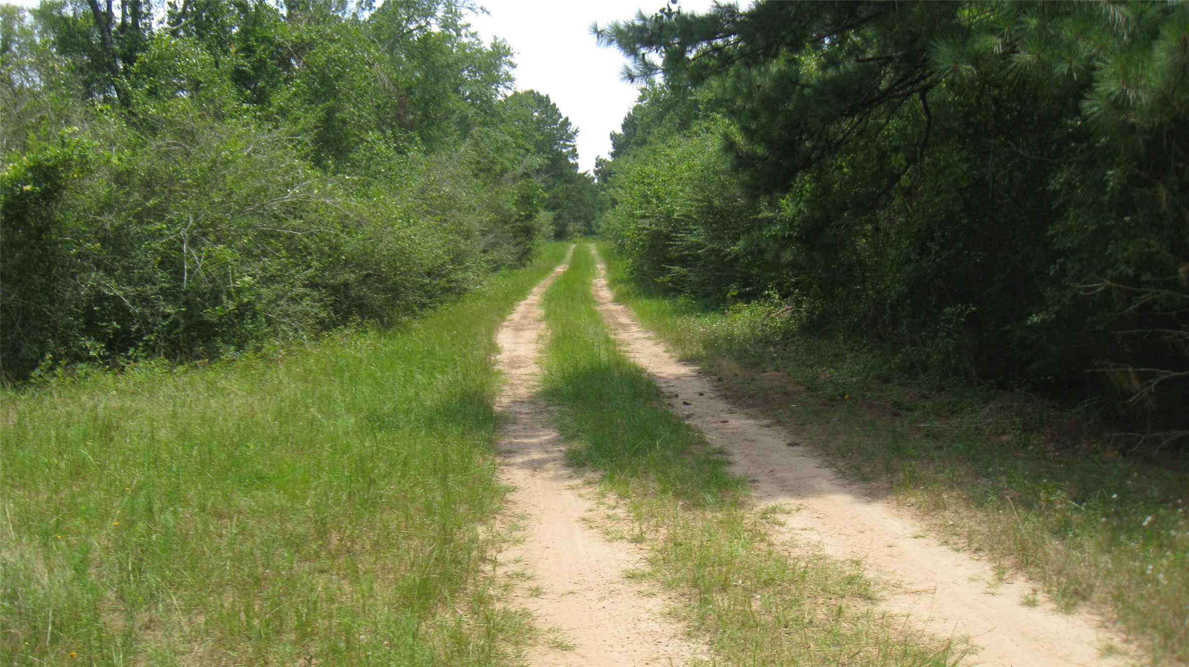 Lot 16 Mocking Bird Property Photo 11