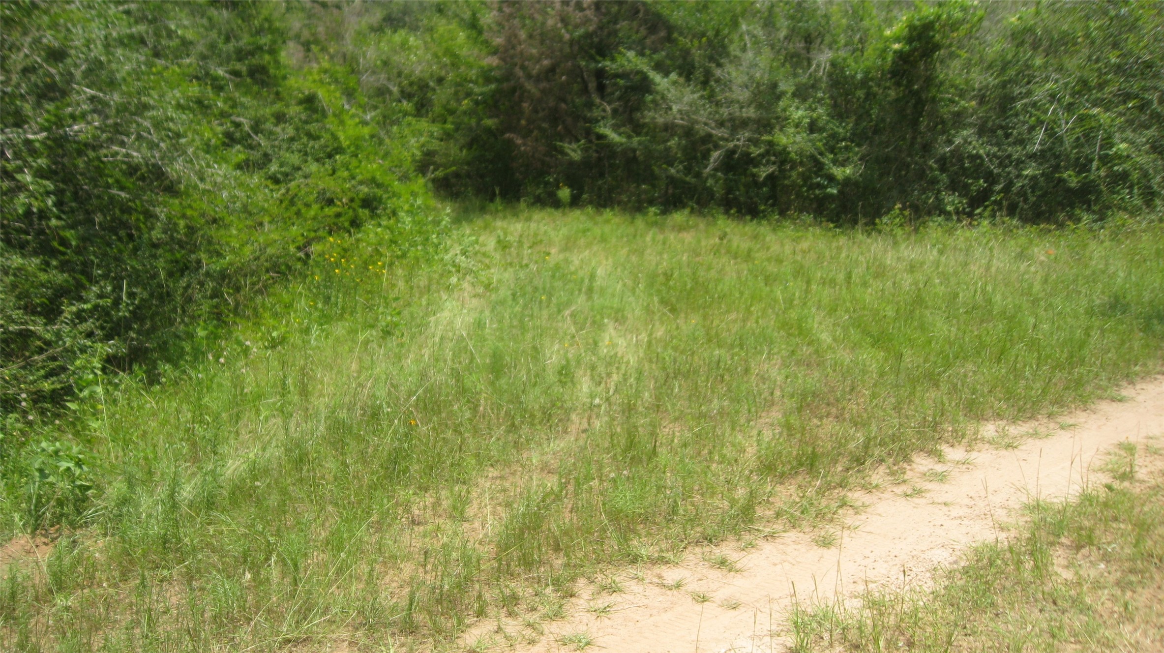 Lot 16 Mocking Bird Property Photo 13