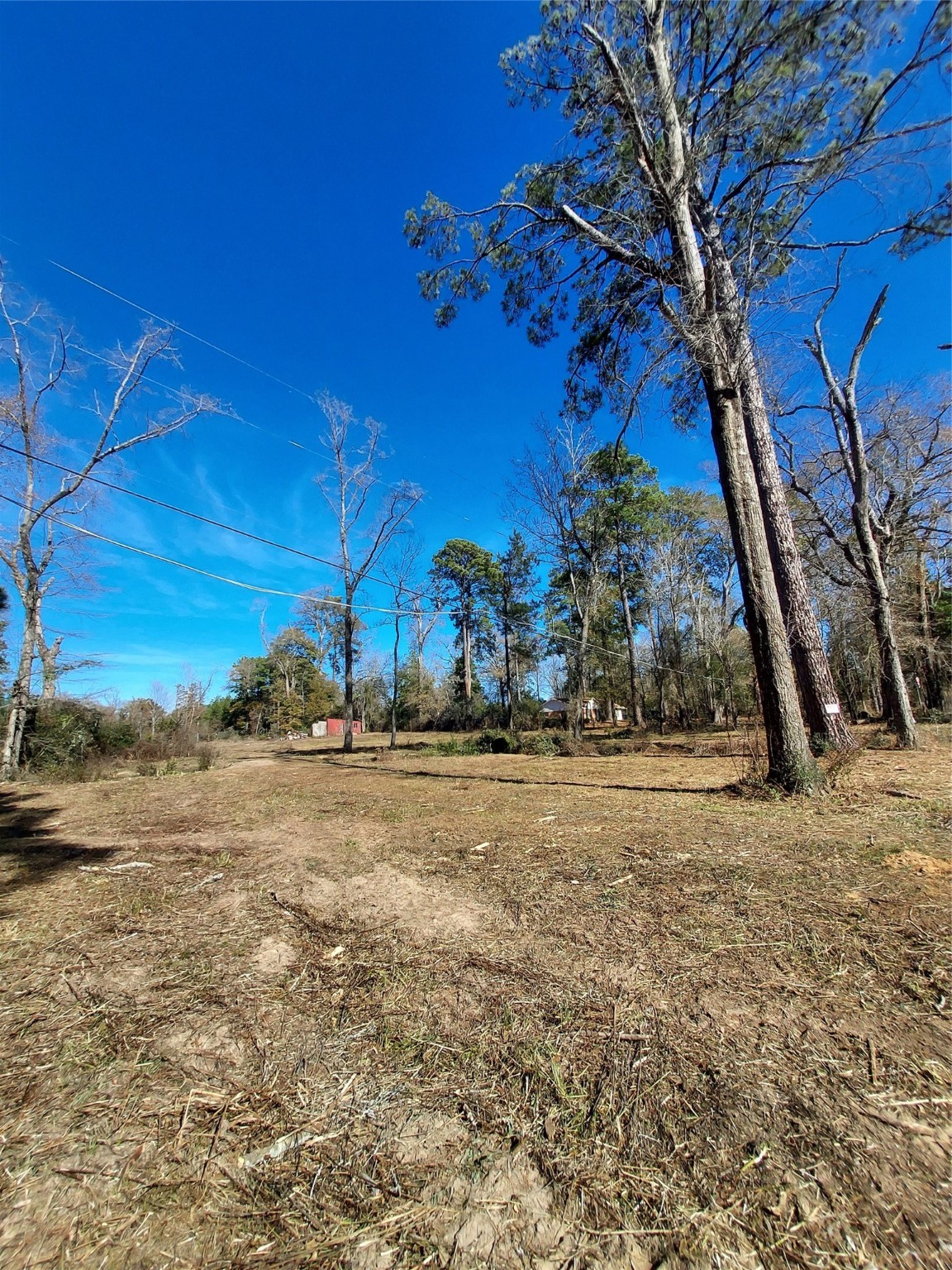 613 Fm 2663 Property Photo 4