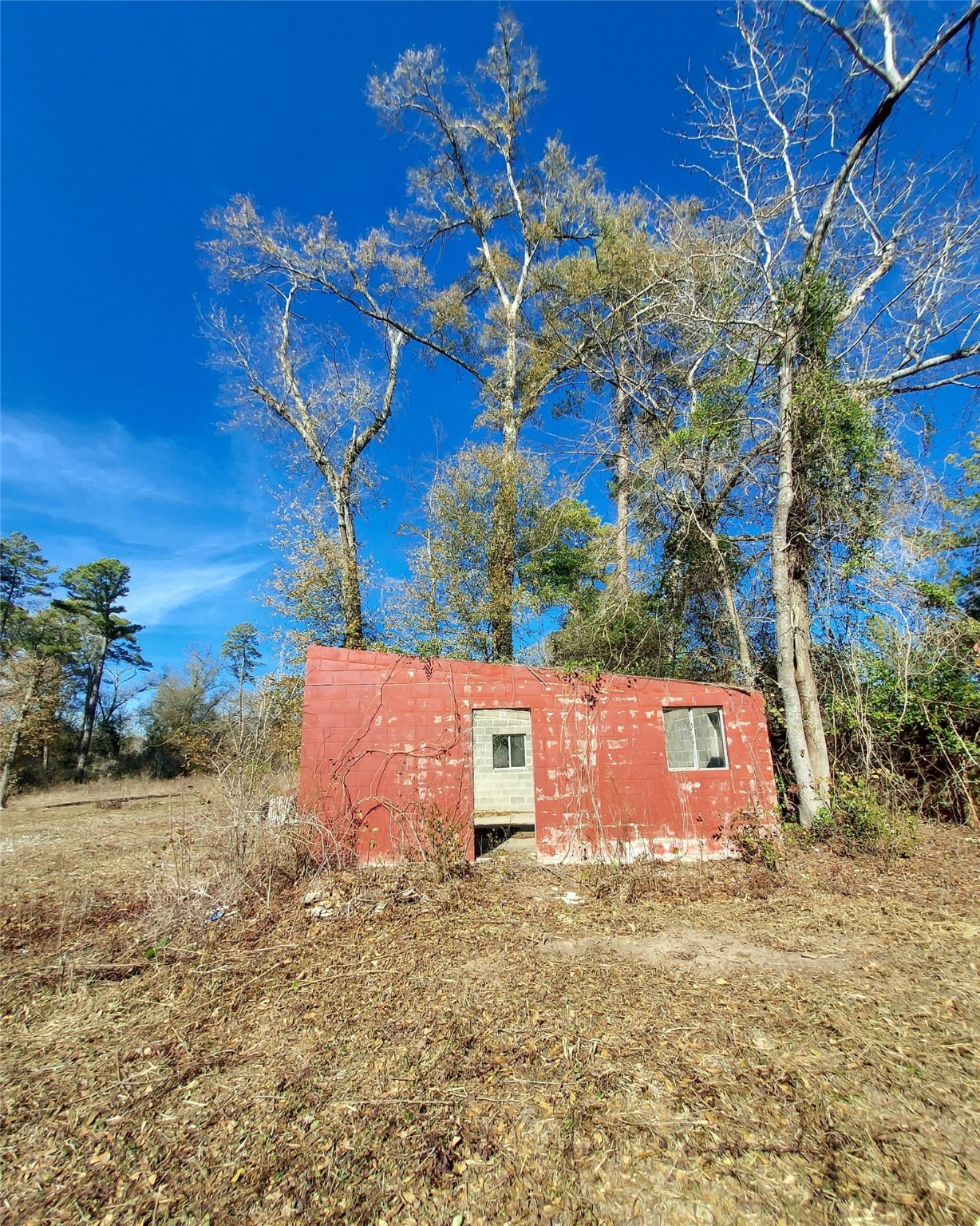 613 Fm 2663 Property Photo 7
