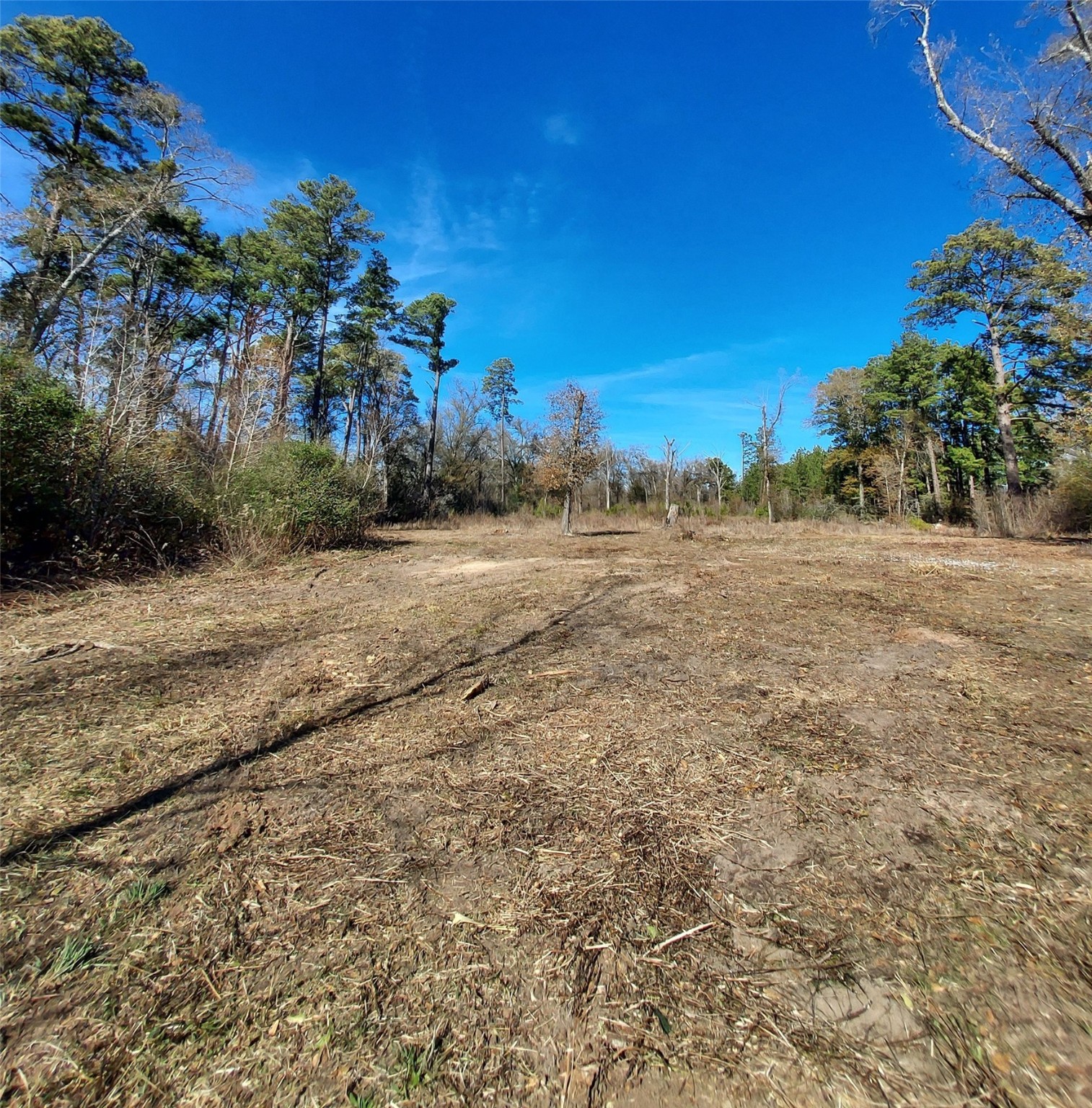 613 Fm 2663 Property Photo 8