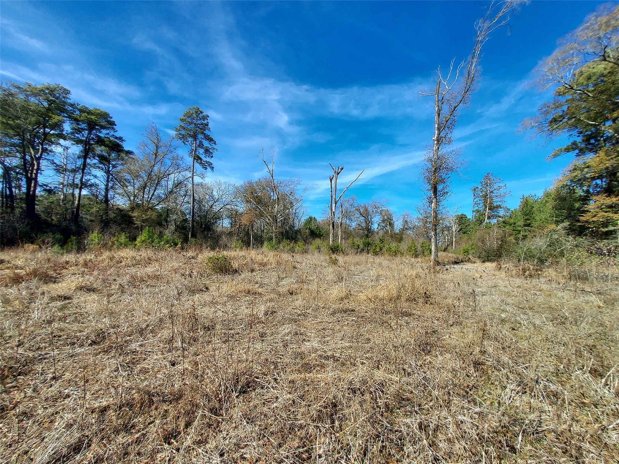 613 Fm 2663 Property Photo 9