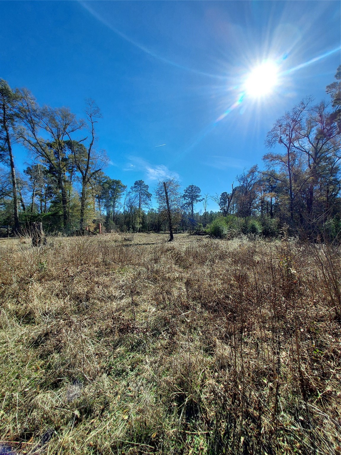 613 Fm 2663 Property Photo 10