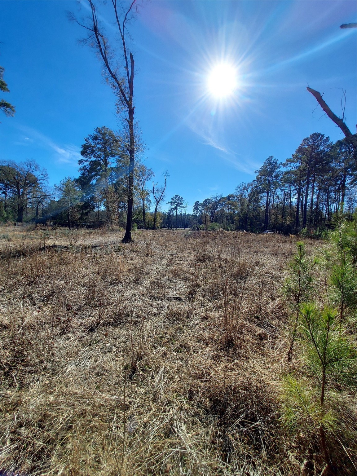613 Fm 2663 Property Photo 12