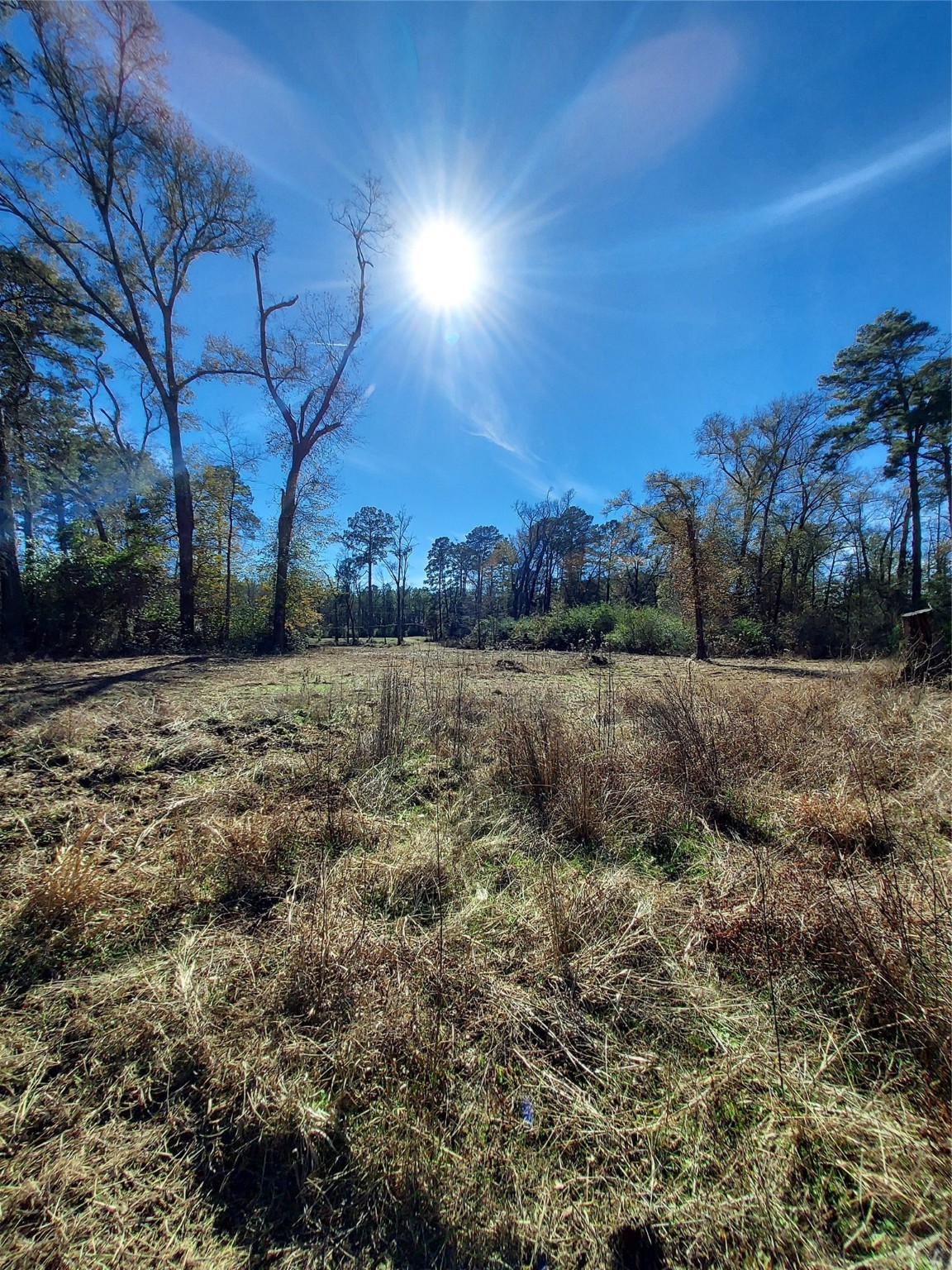 613 Fm 2663 Property Photo 13