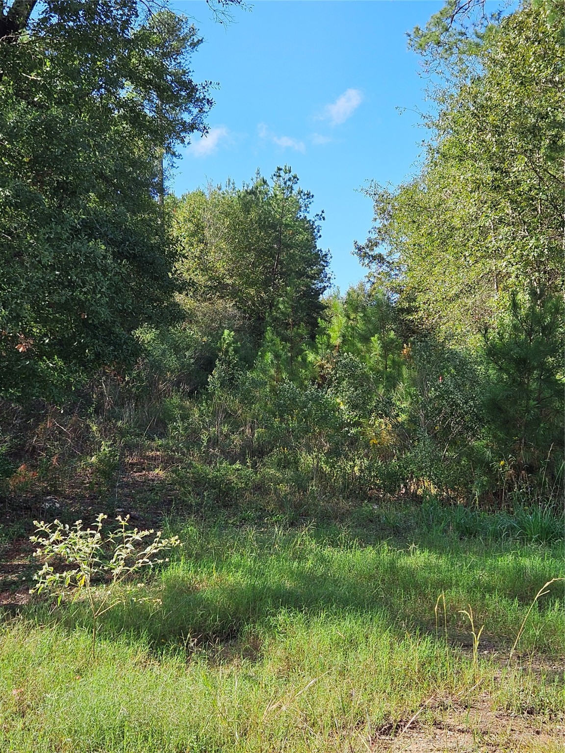 Tbd 2-6-56 Stagecoach Circle Property Photo 3