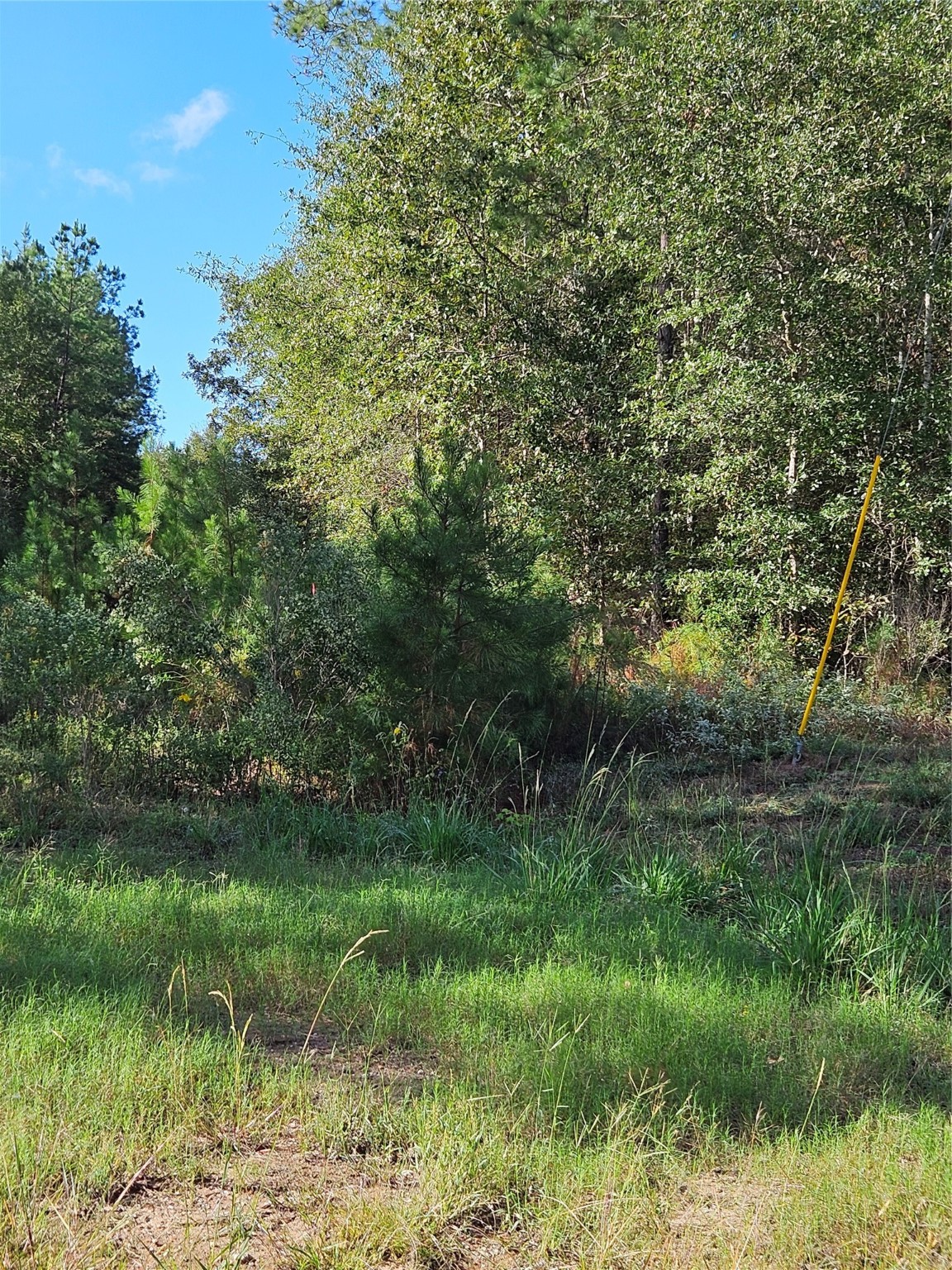 Tbd 2-6-56 Stagecoach Circle Property Photo 4