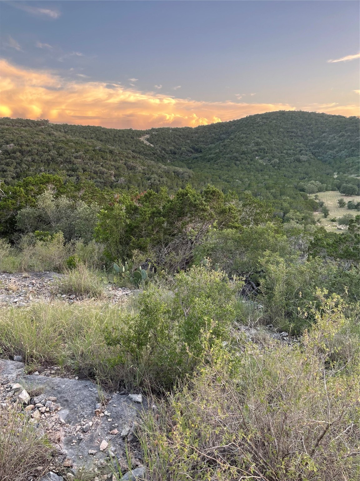 24501 N Us Highway 83 Property Photo 4