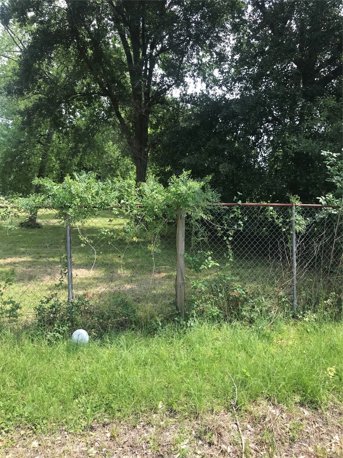 1202 De Soto Street Property Photo 1