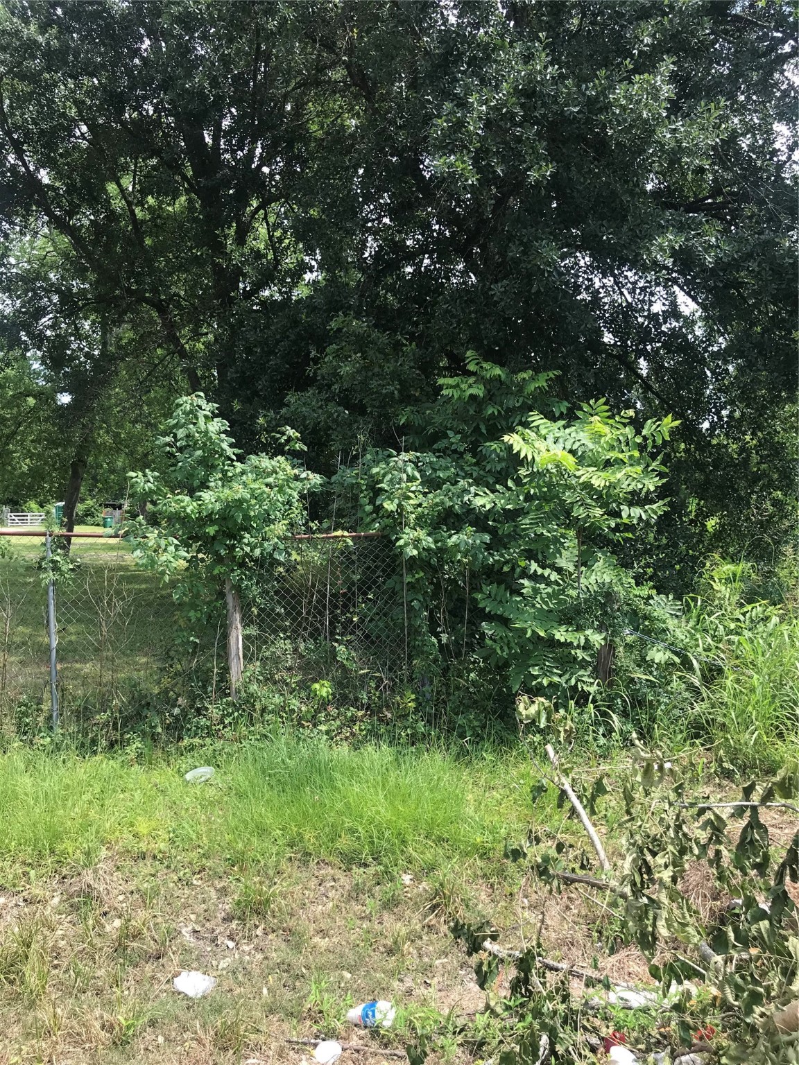 1202 De Soto Street Property Photo 6