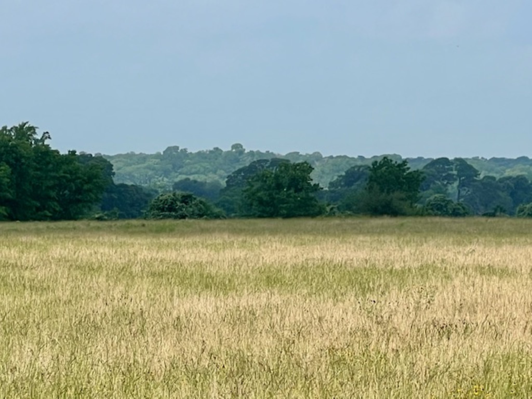 38 Acres Shaws Bend Rd Property Photo 1