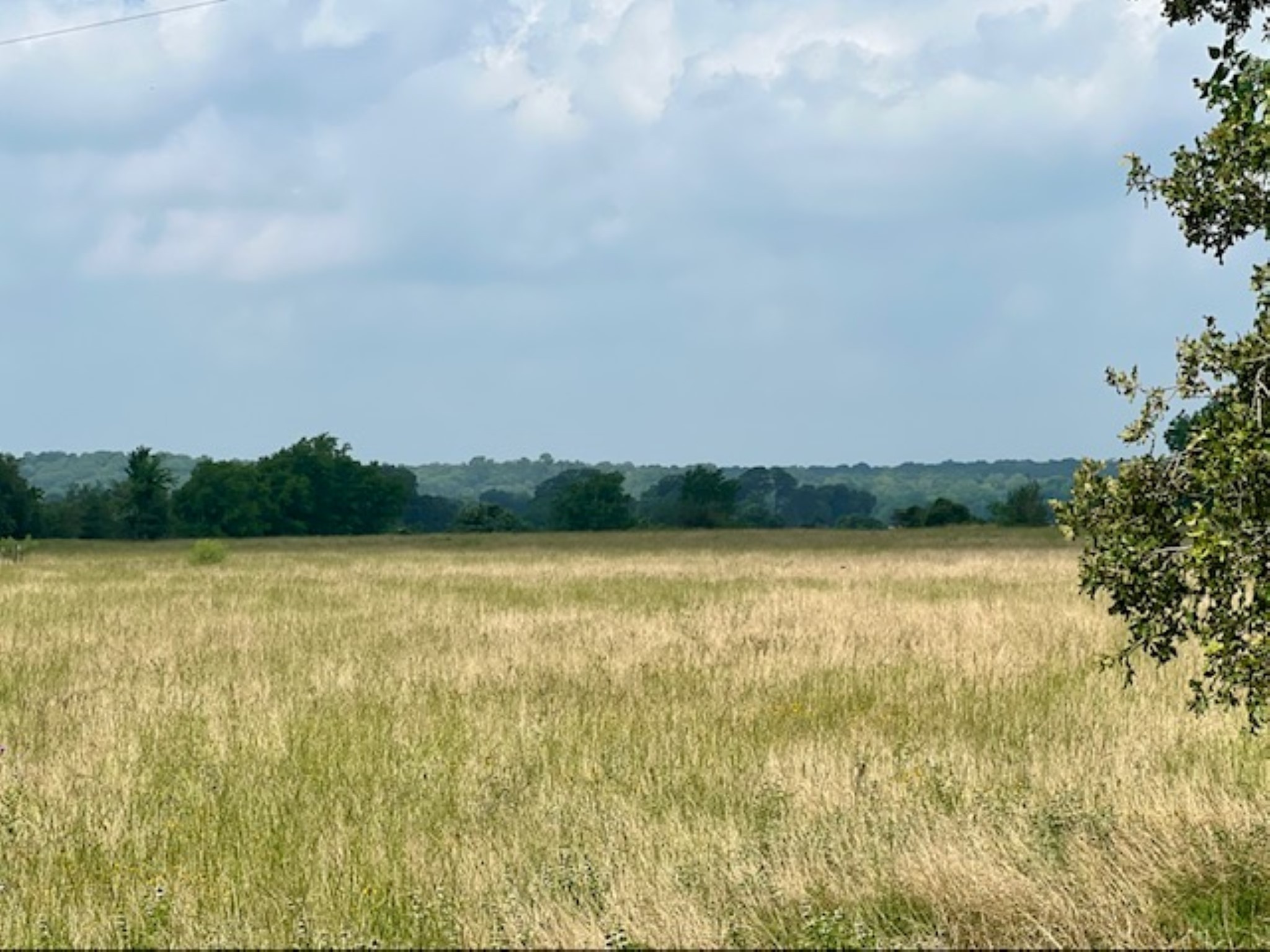 38 Acres Shaws Bend Rd Property Photo 2