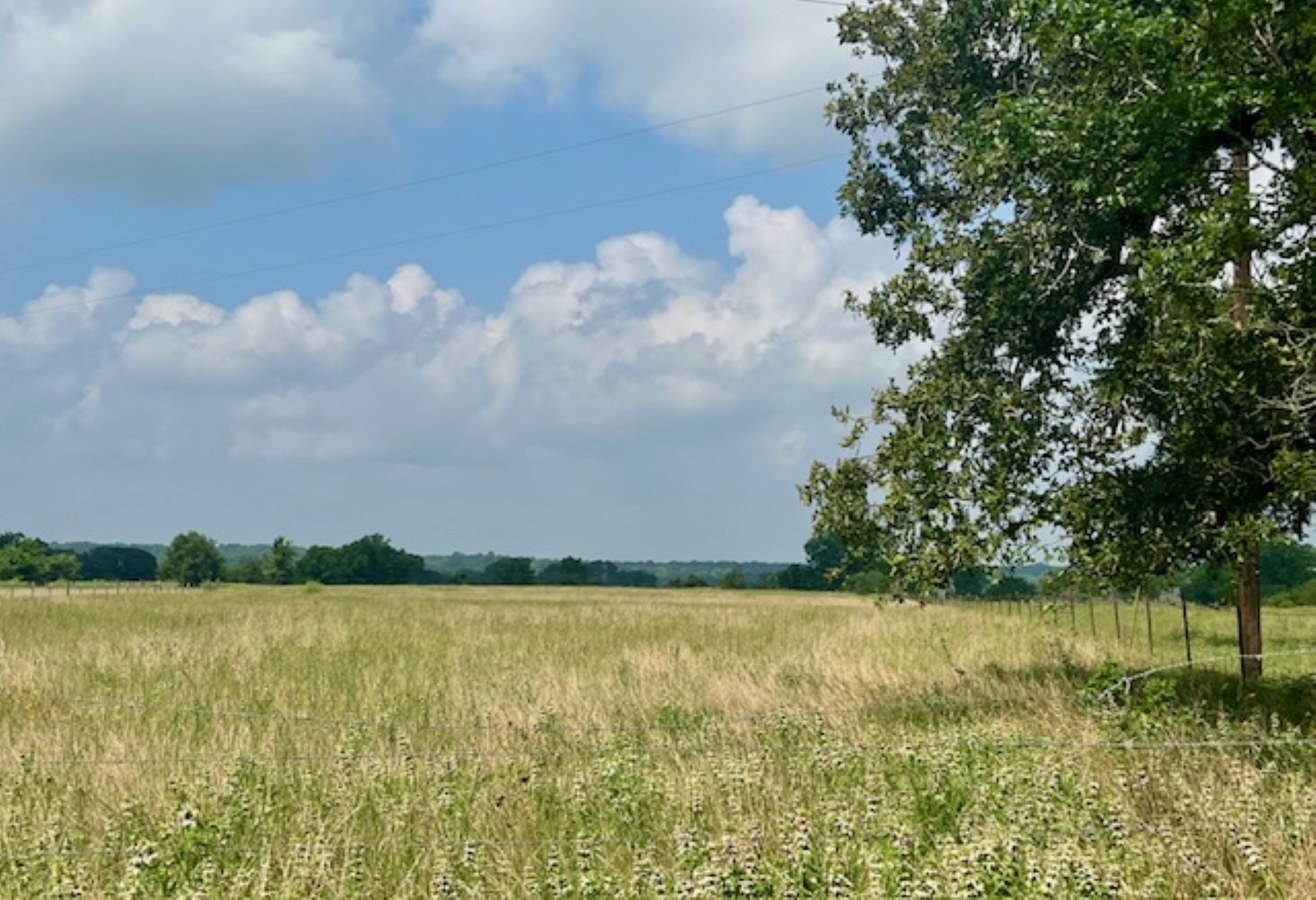 38 Acres Shaws Bend Rd Property Photo 3
